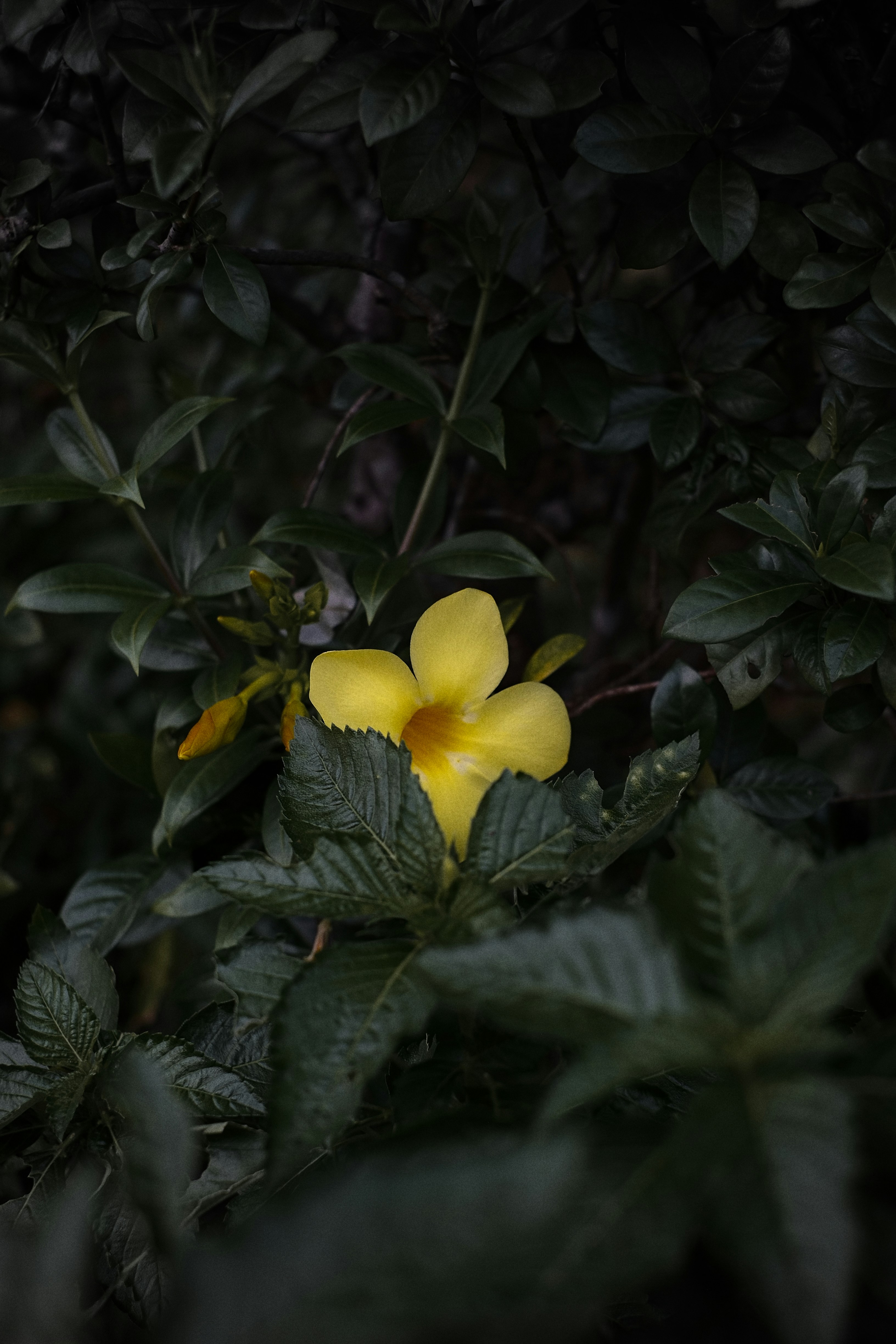 Photo by zhekai_39
