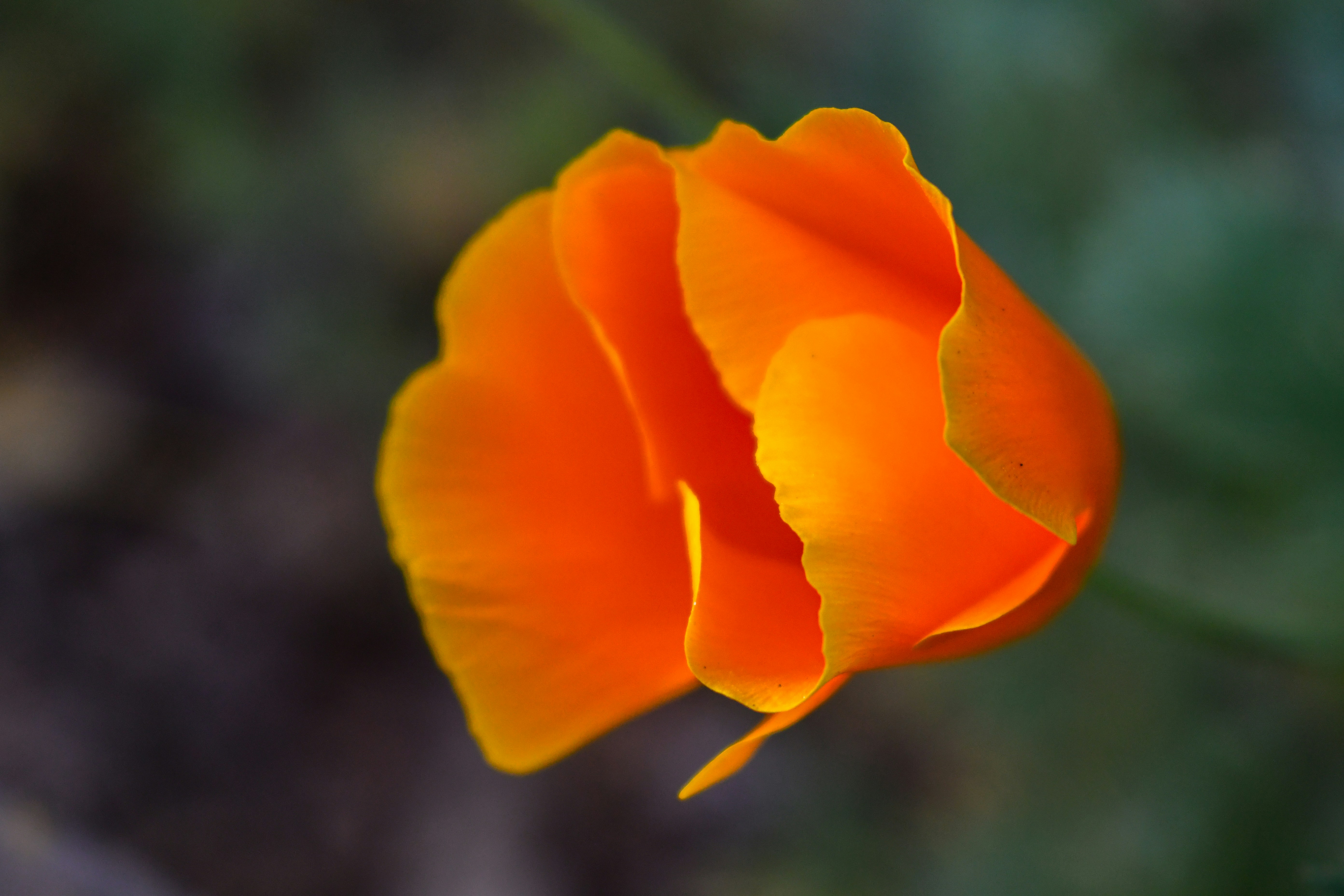 Photo by elisastonephotography