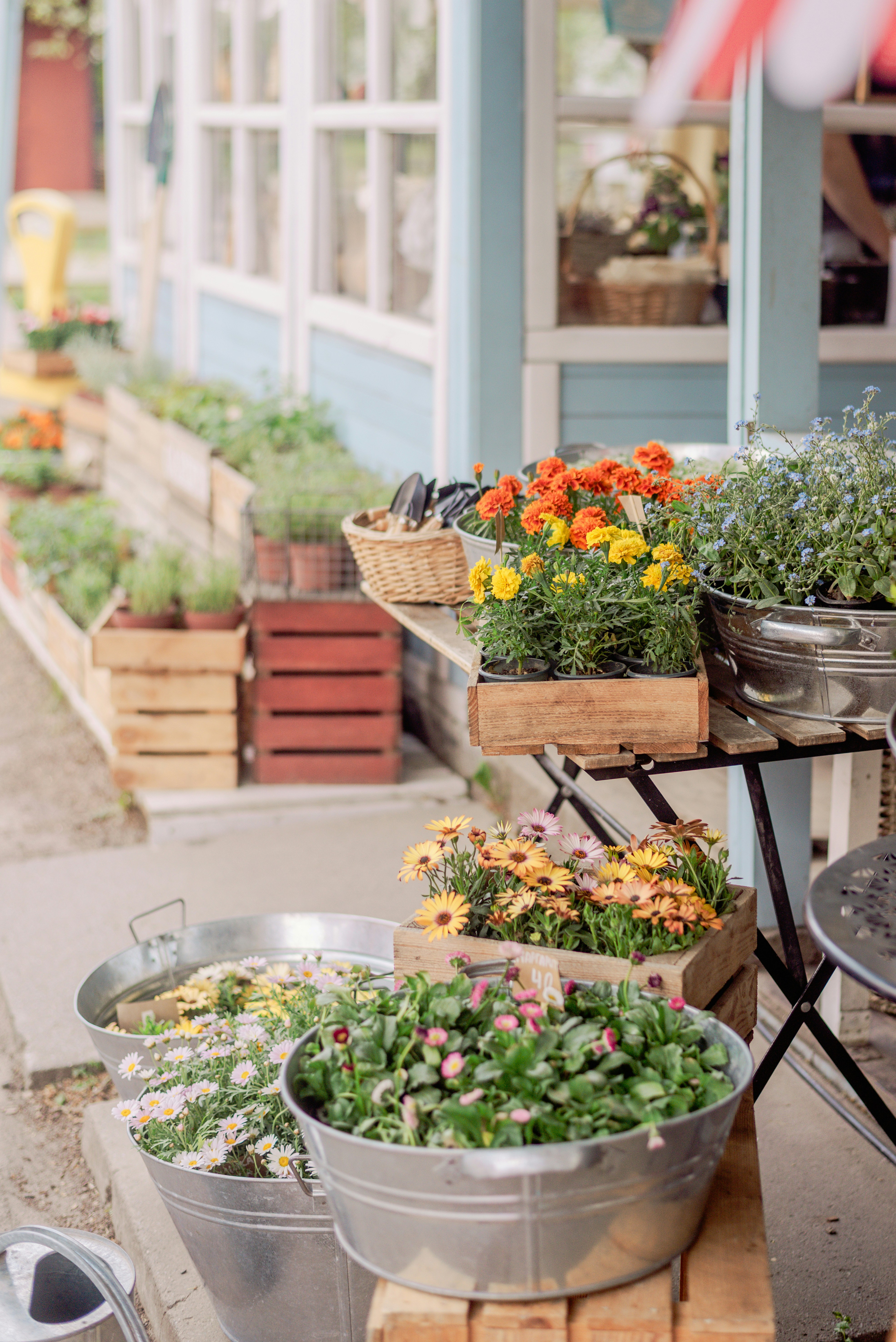 Photo by eugenivy_now