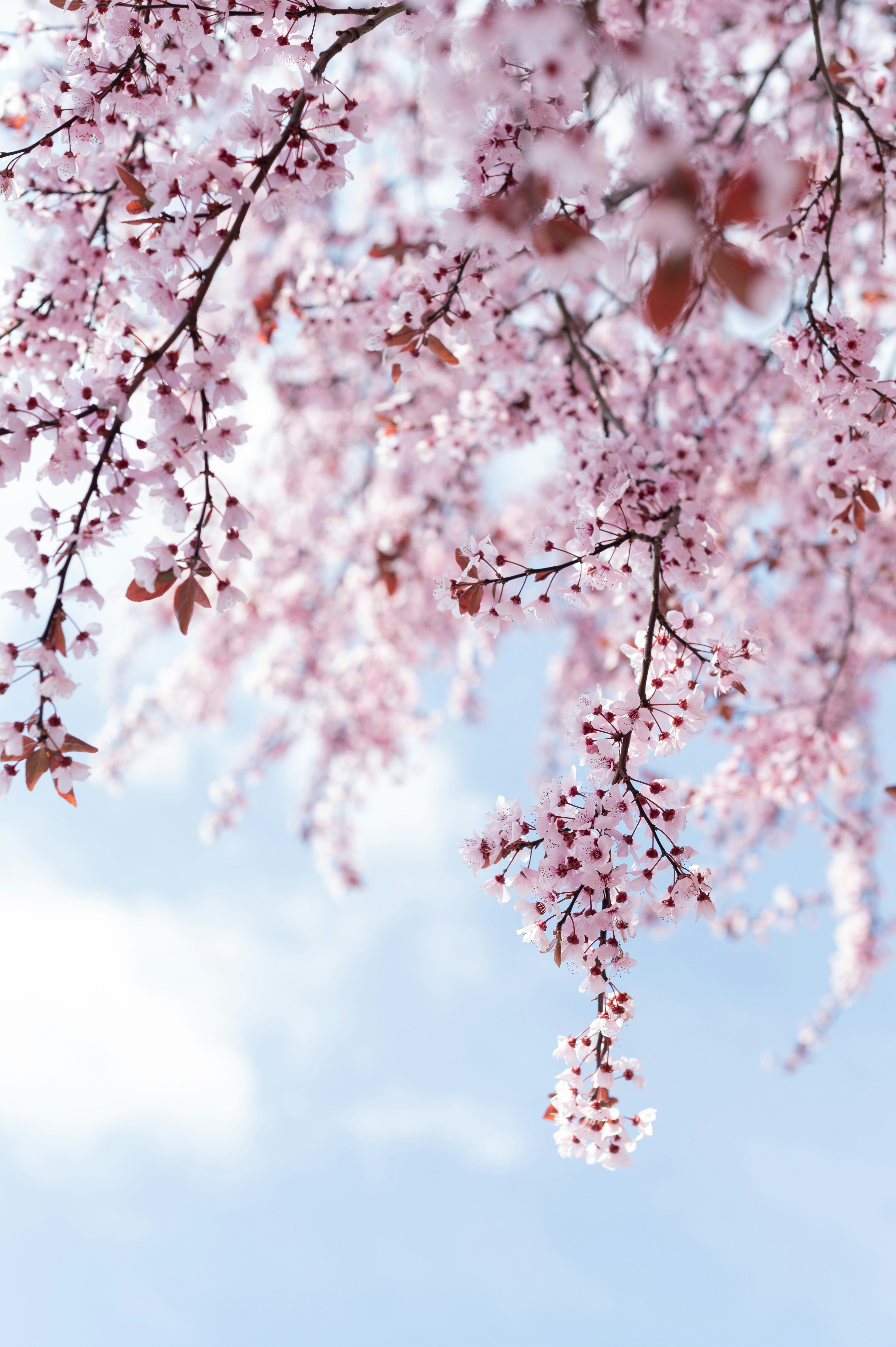 Photo by alexandra_p_d