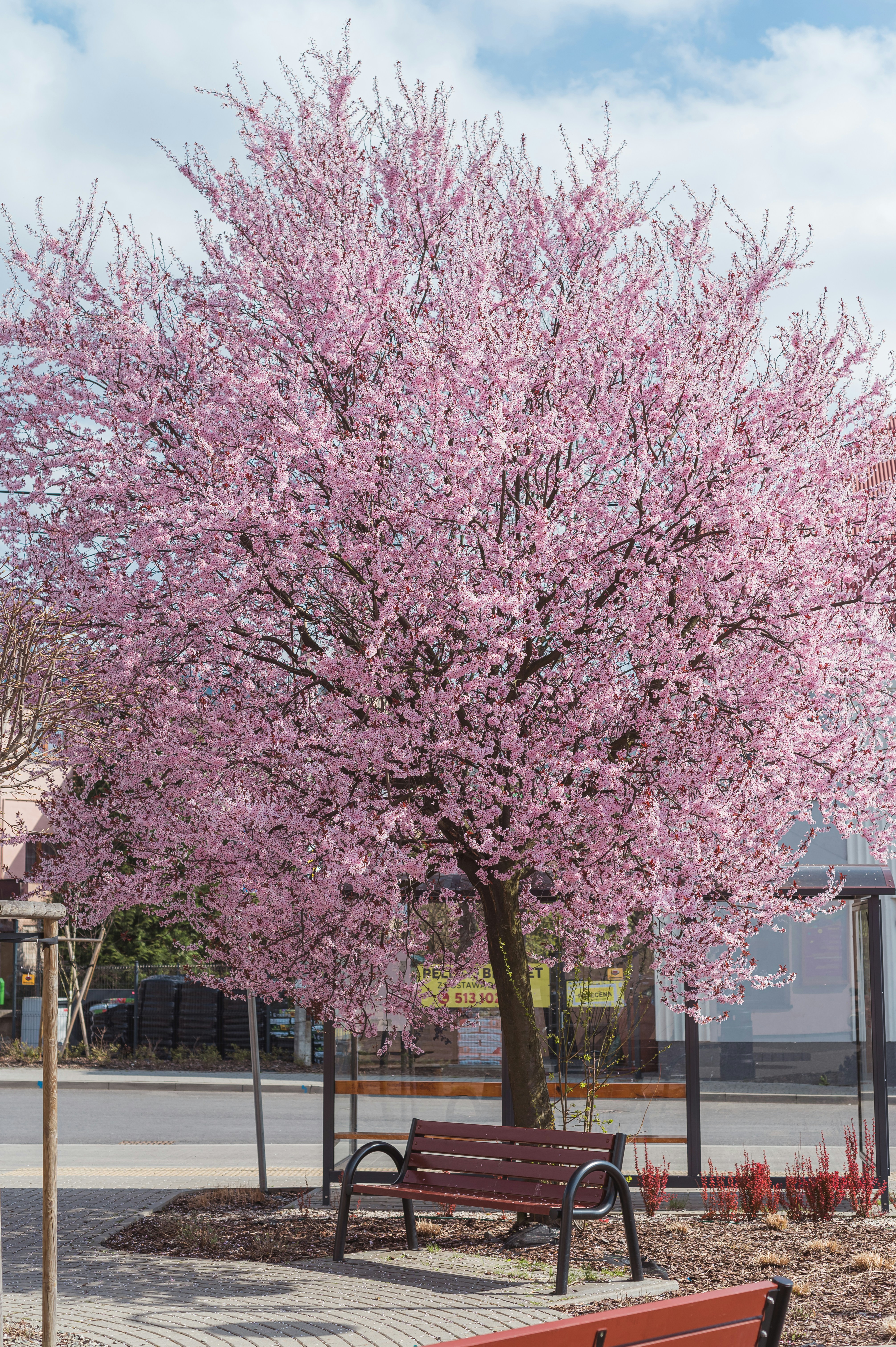 Photo by alexandra_p_d