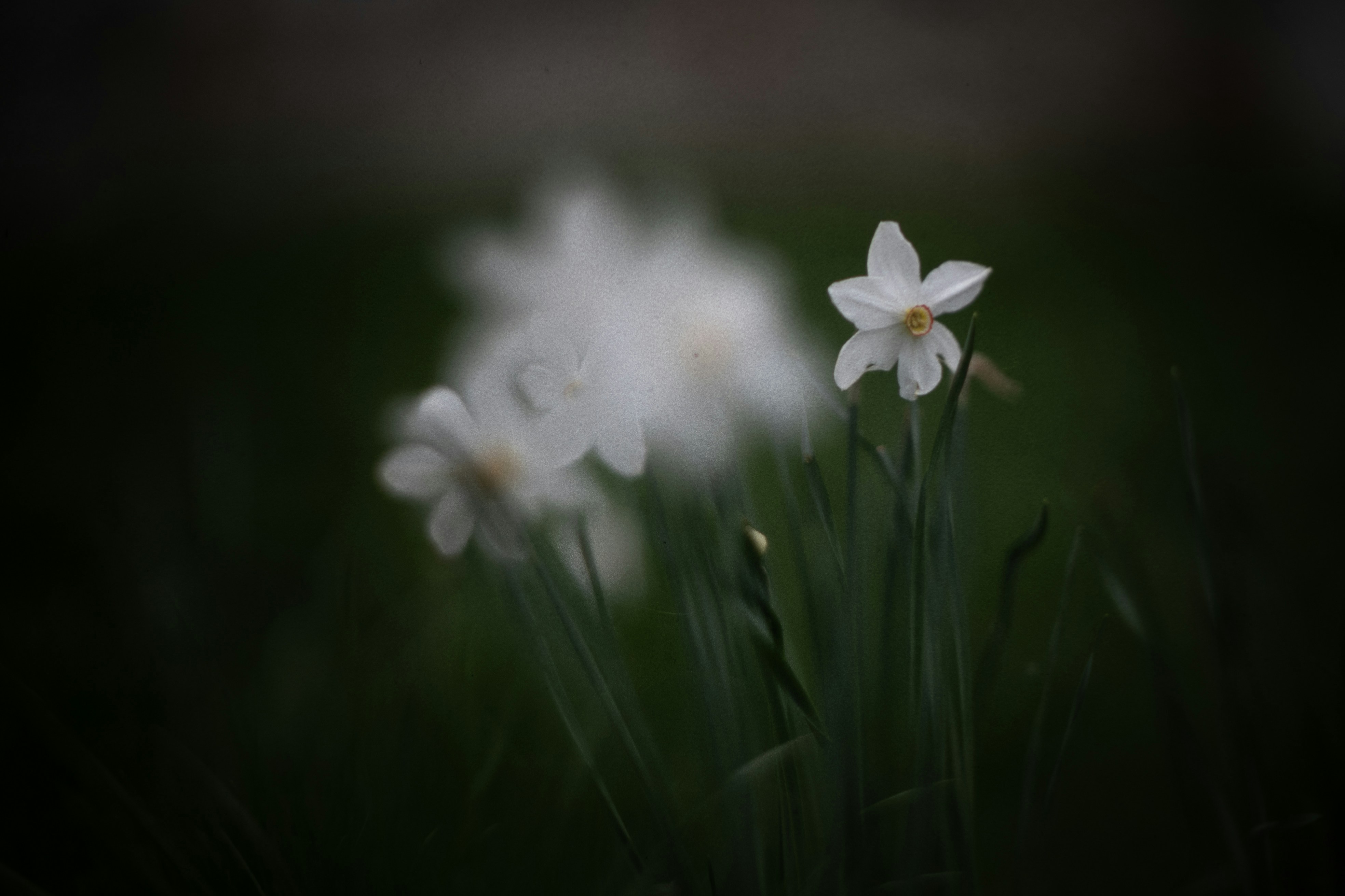 Photo by andrilliardbond