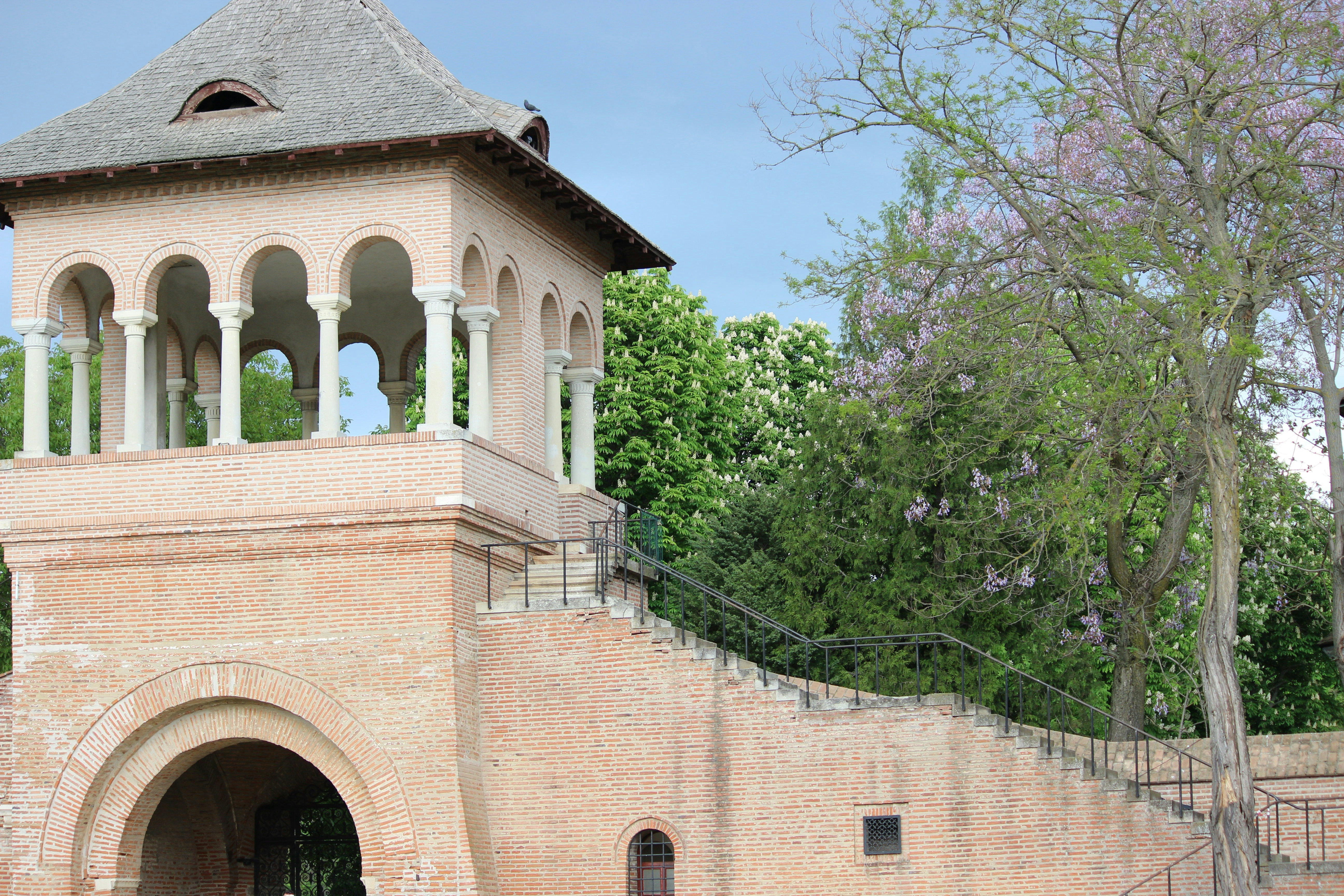 Photo by fotografialuivlad