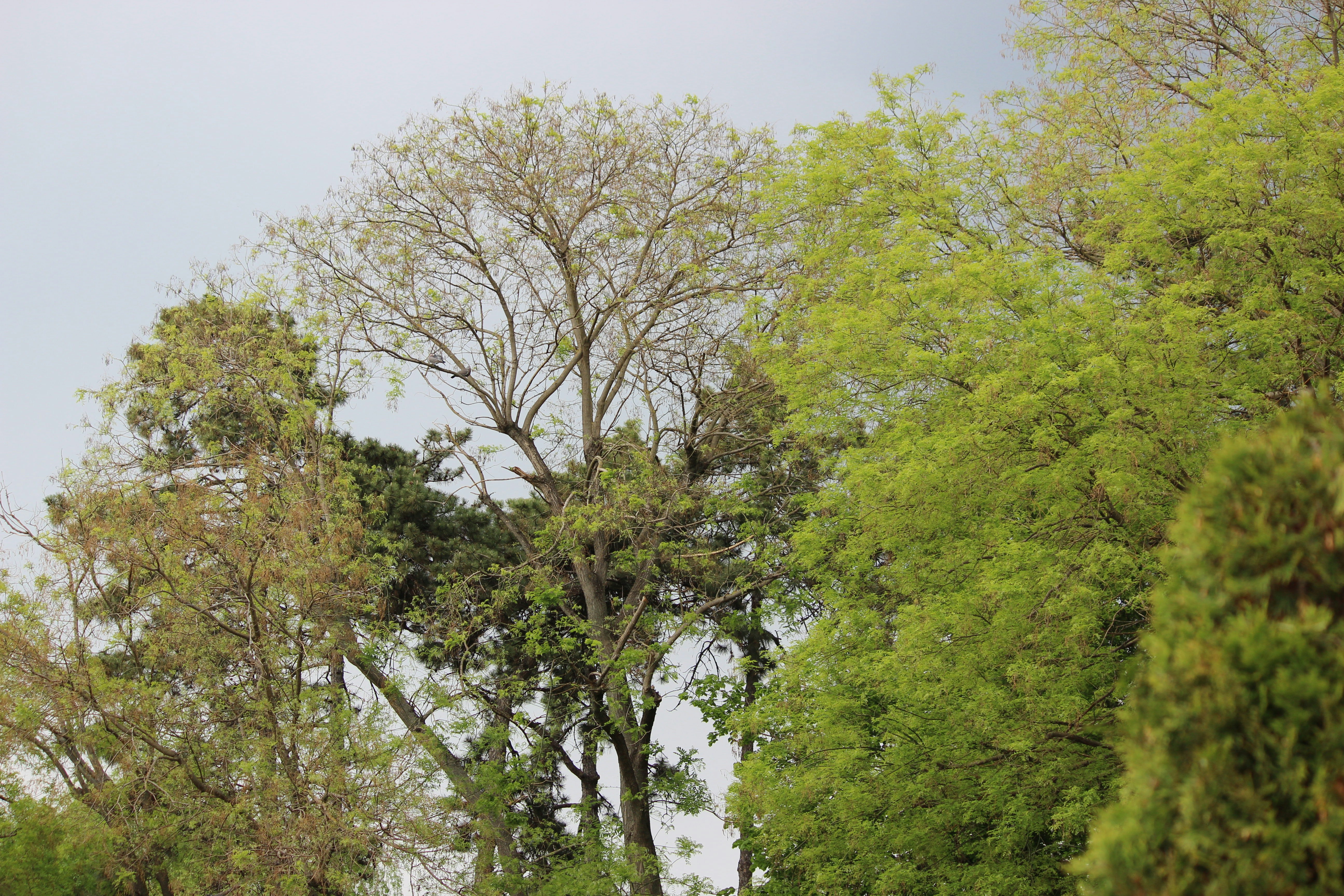 Photo by fotografialuivlad