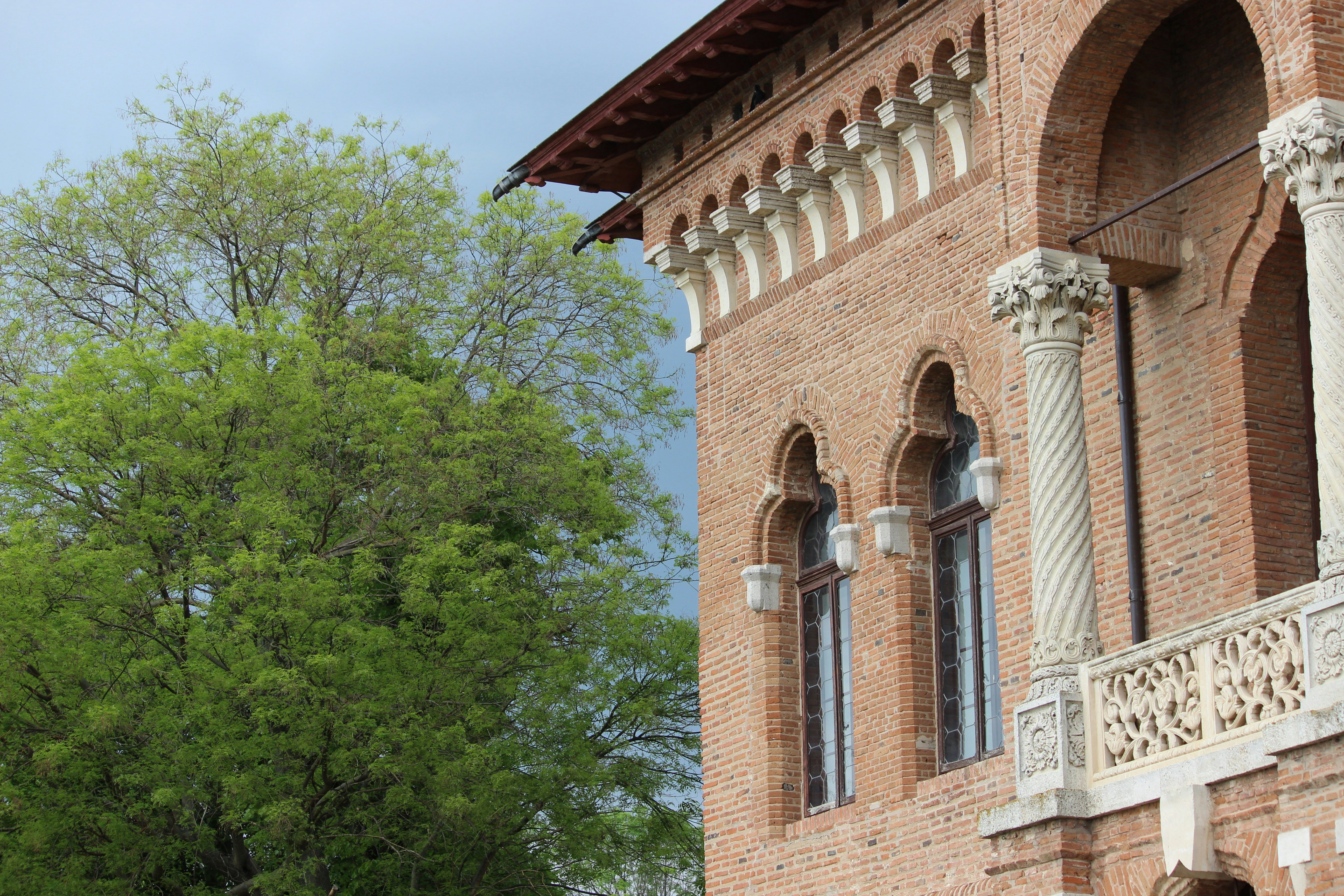 Photo by fotografialuivlad