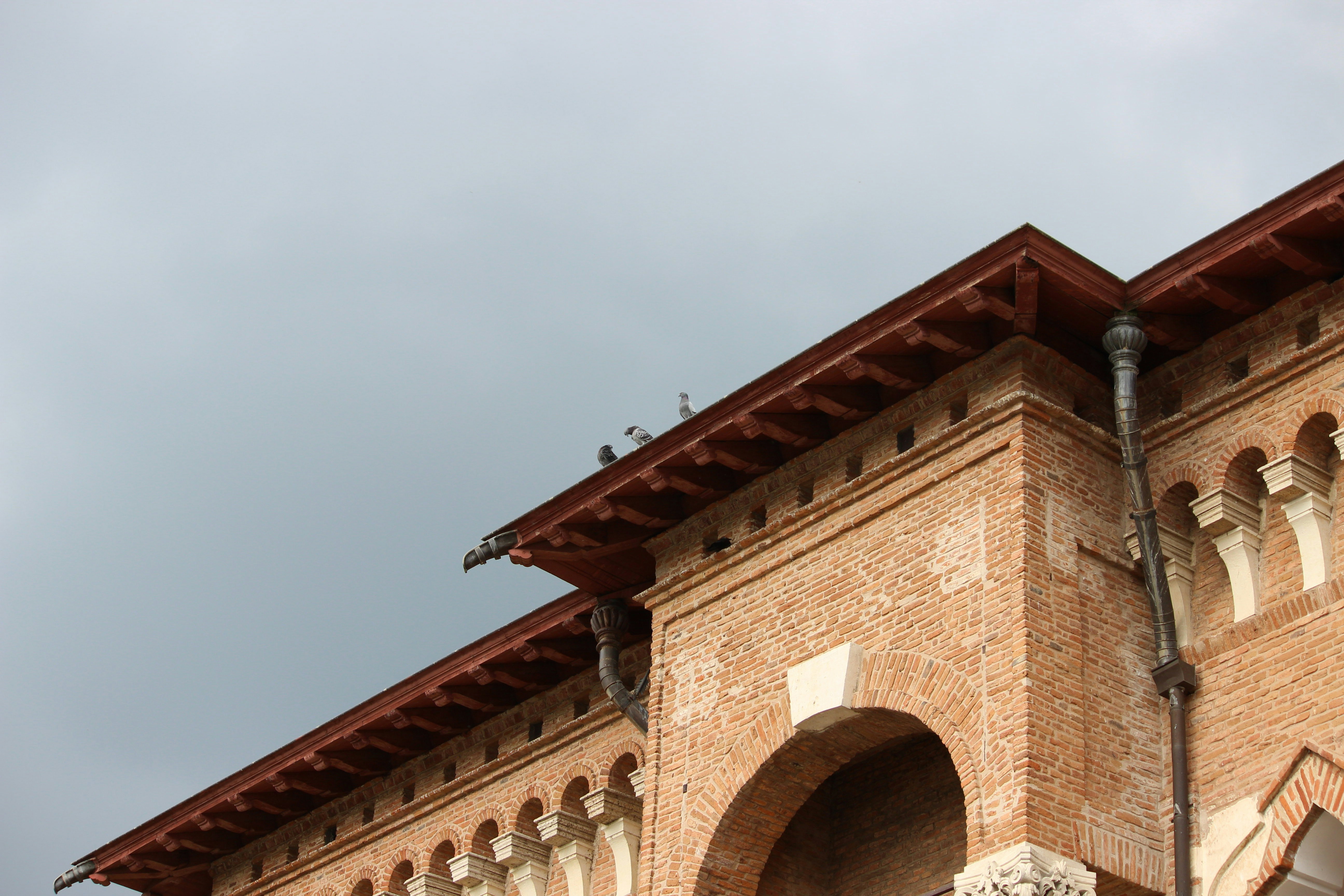 Photo by fotografialuivlad