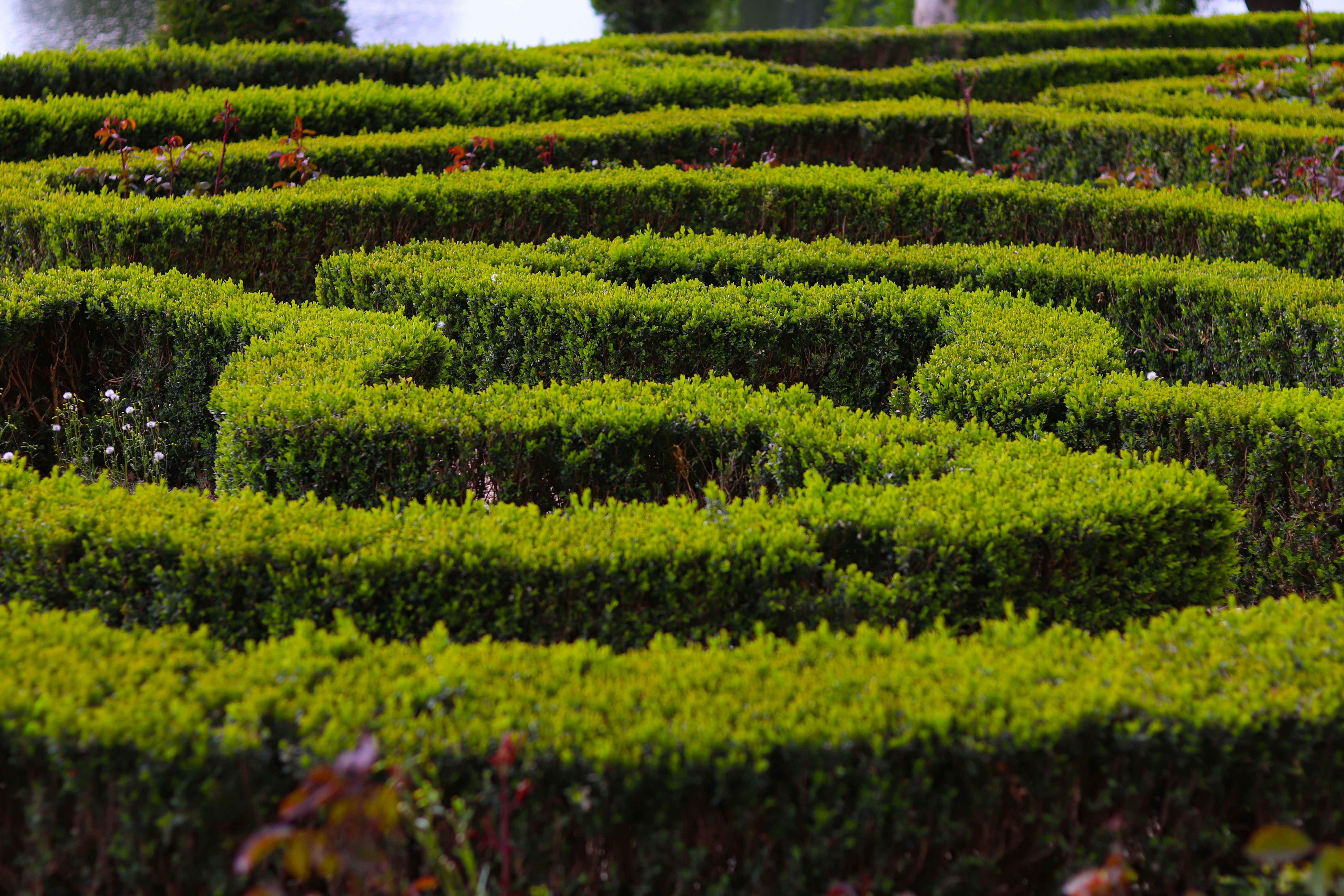 Photo by fotografialuivlad