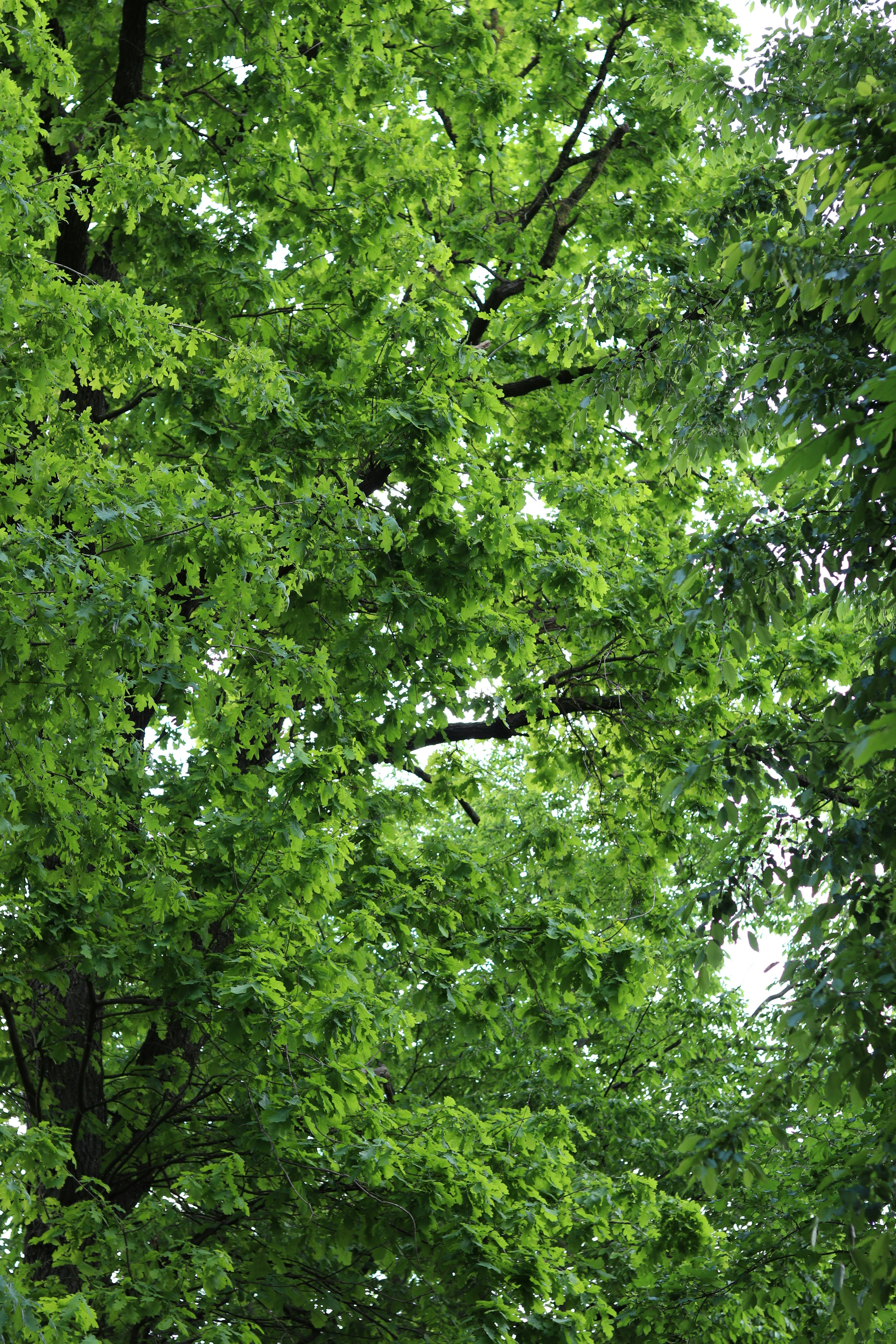 Photo by fotografialuivlad