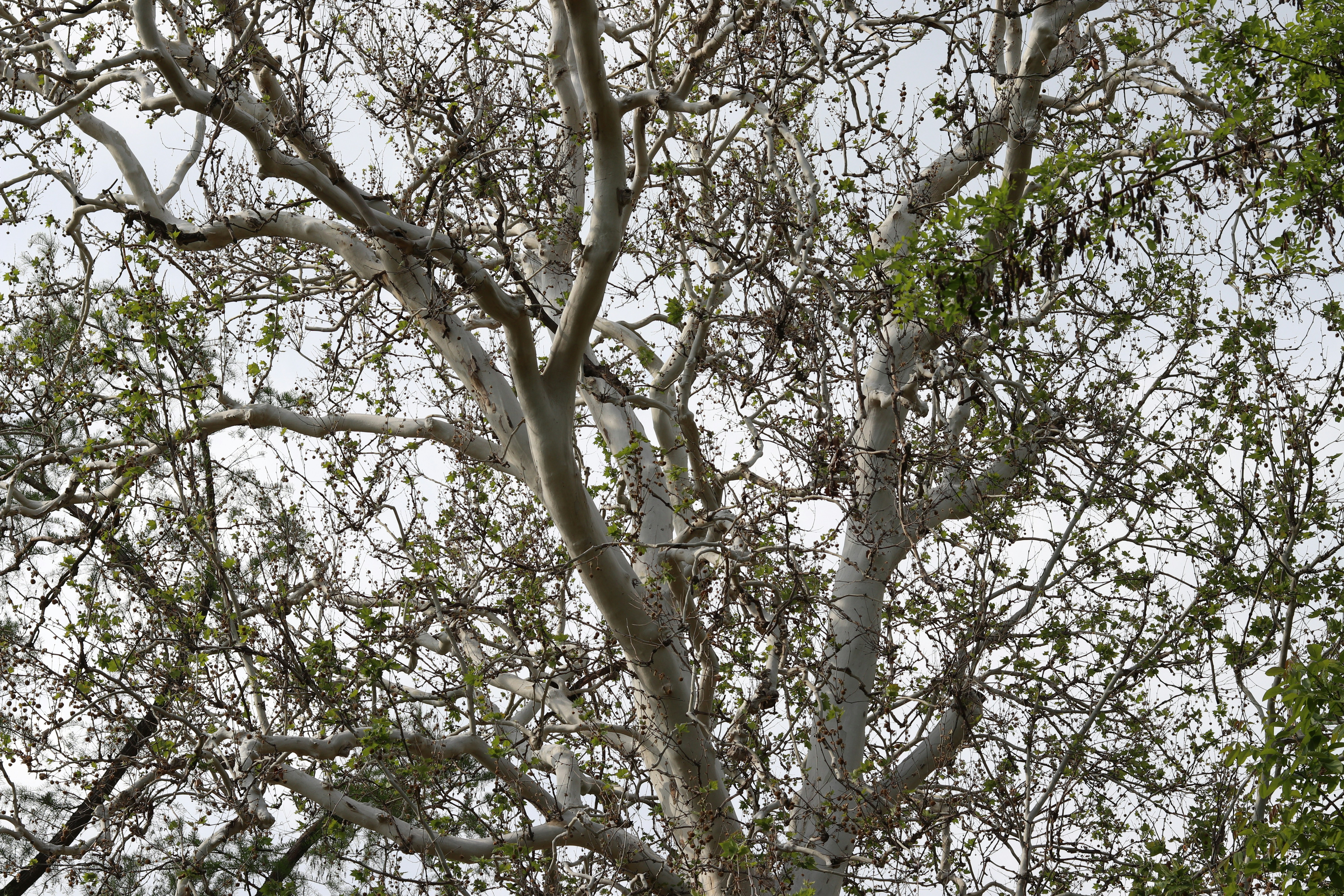 Photo by fotografialuivlad