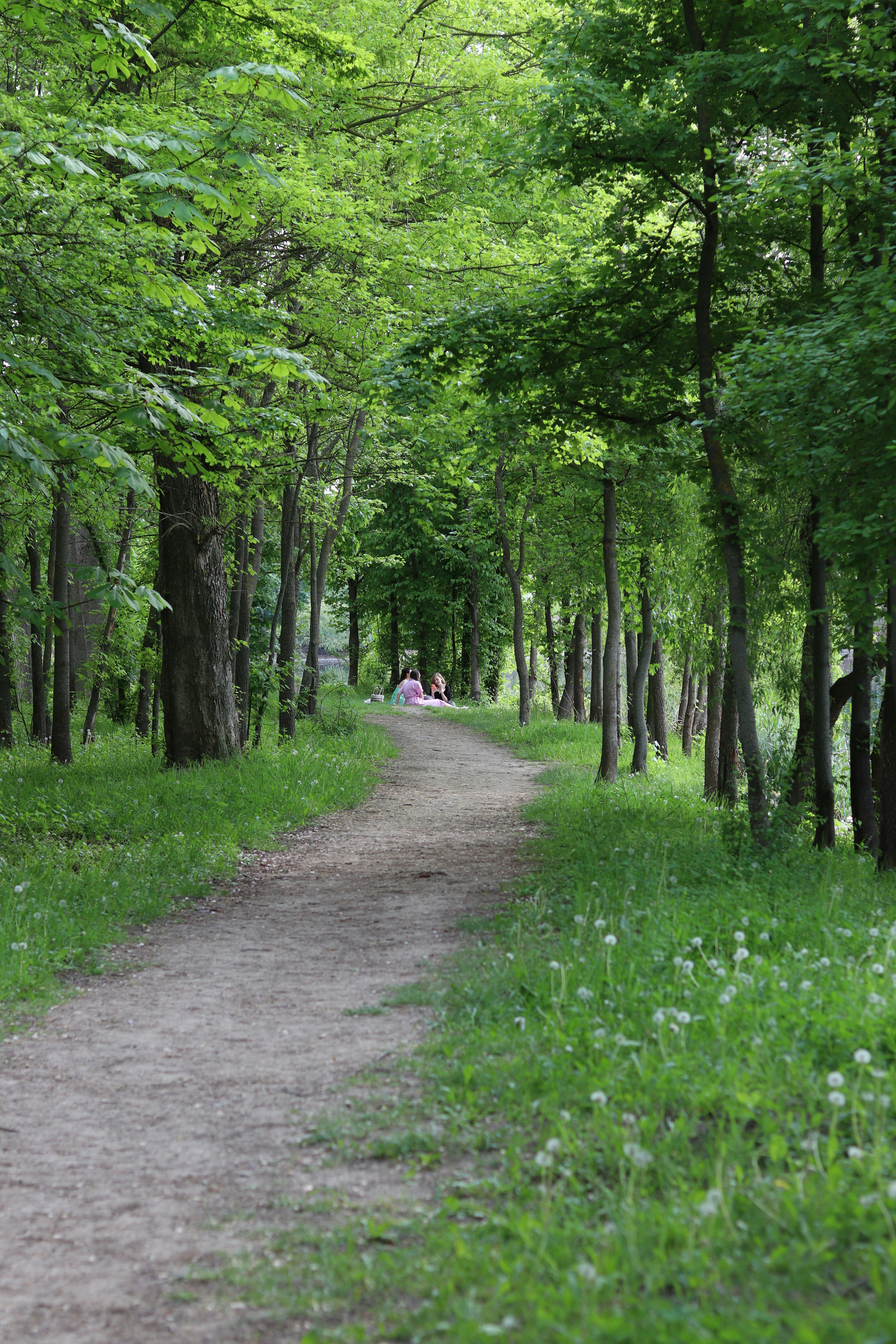 Photo by fotografialuivlad