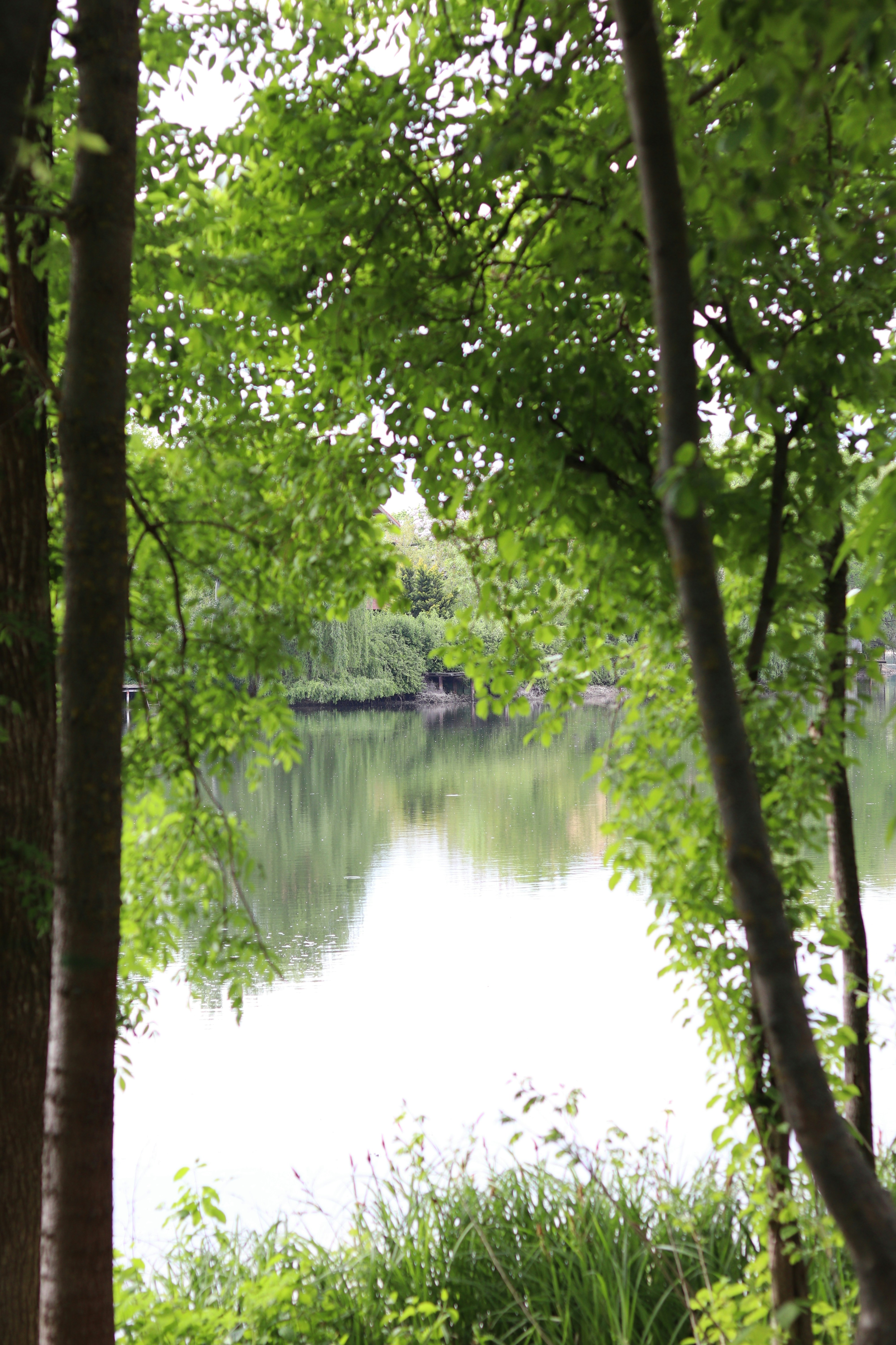 Photo by fotografialuivlad