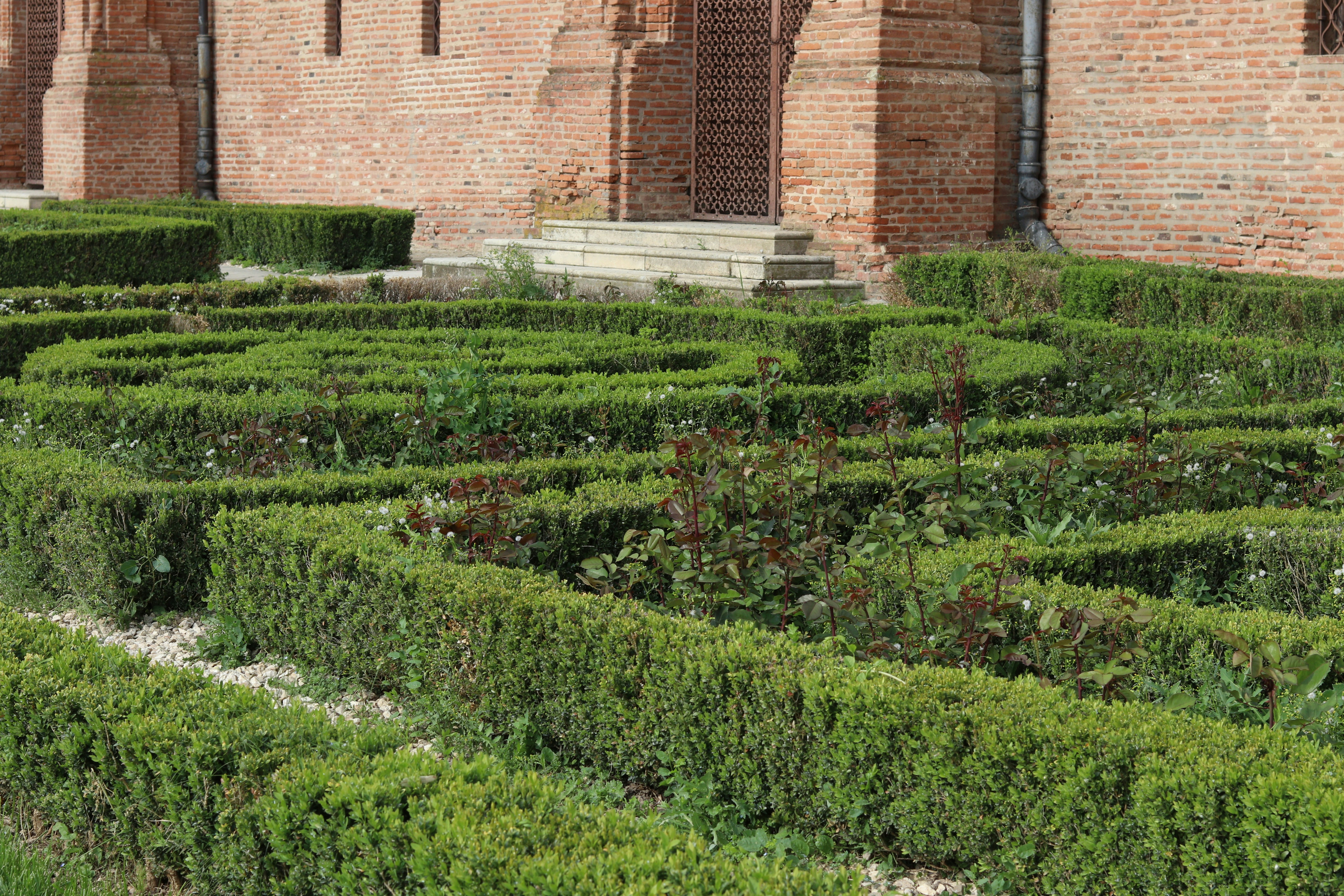 A formal garden with hedges in front of a building.