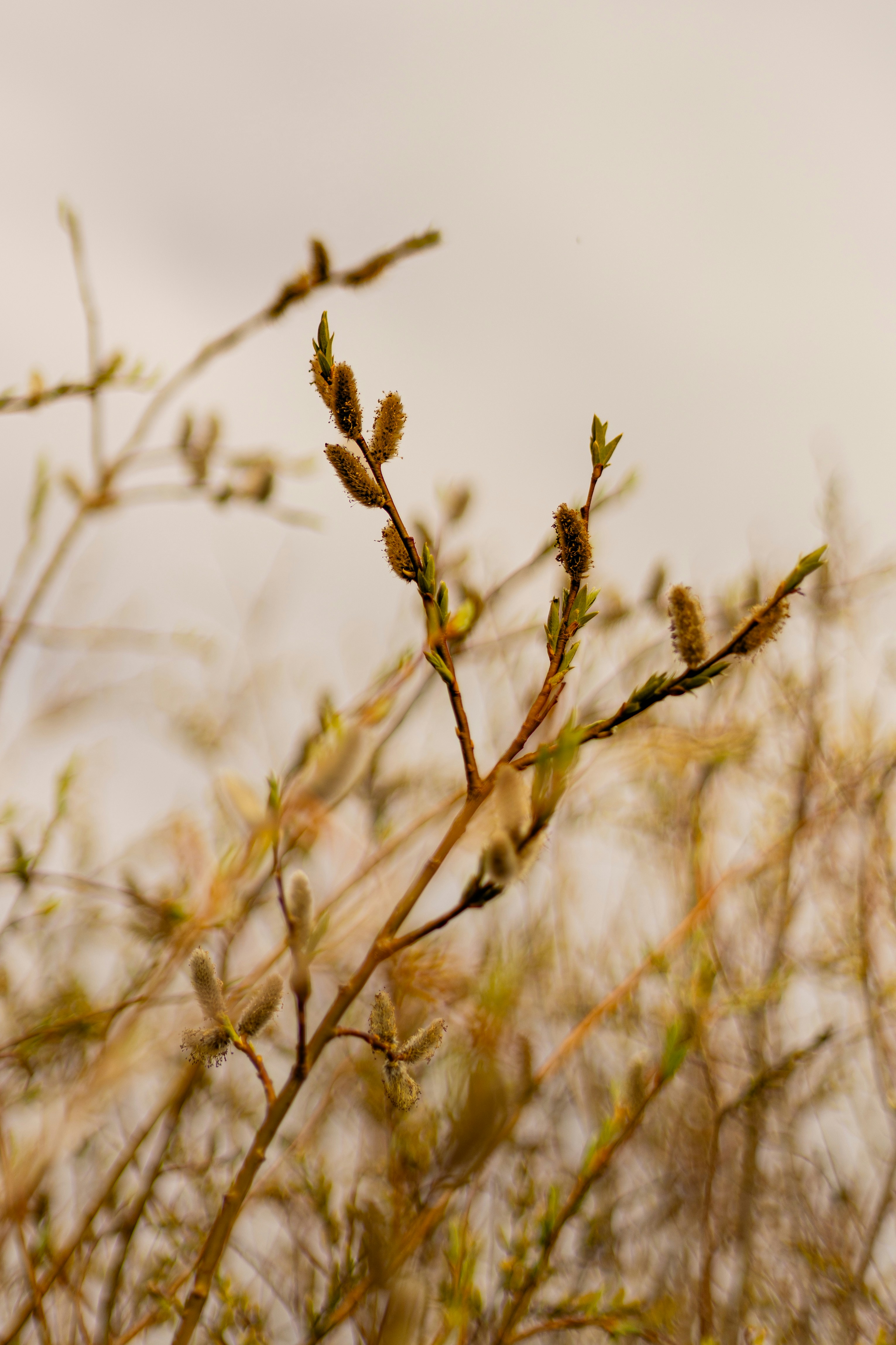 Photo by j_b_photography