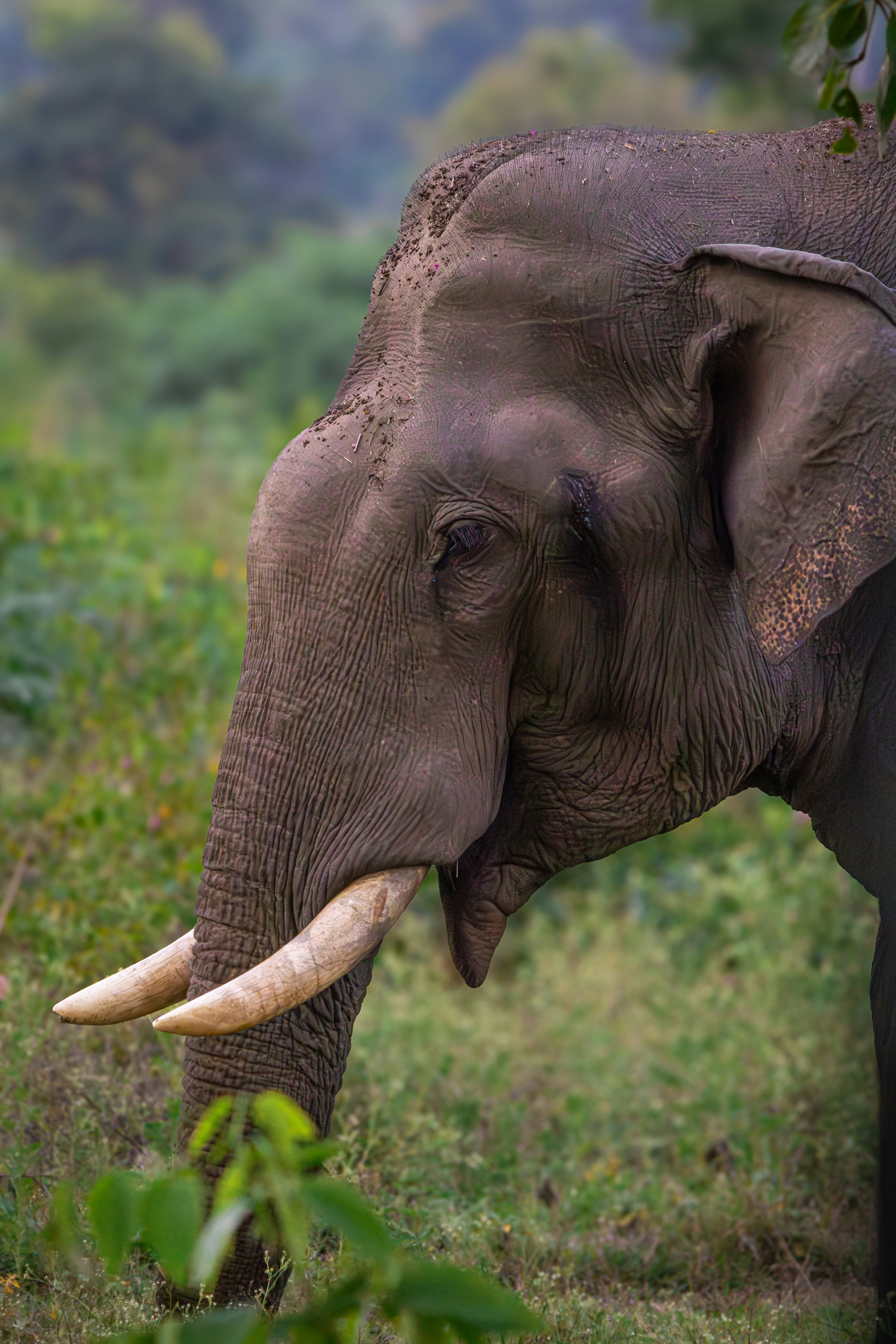 Photo by sameer_srivastava