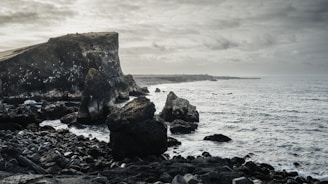Rocky coastline under a moody, overcast sky.