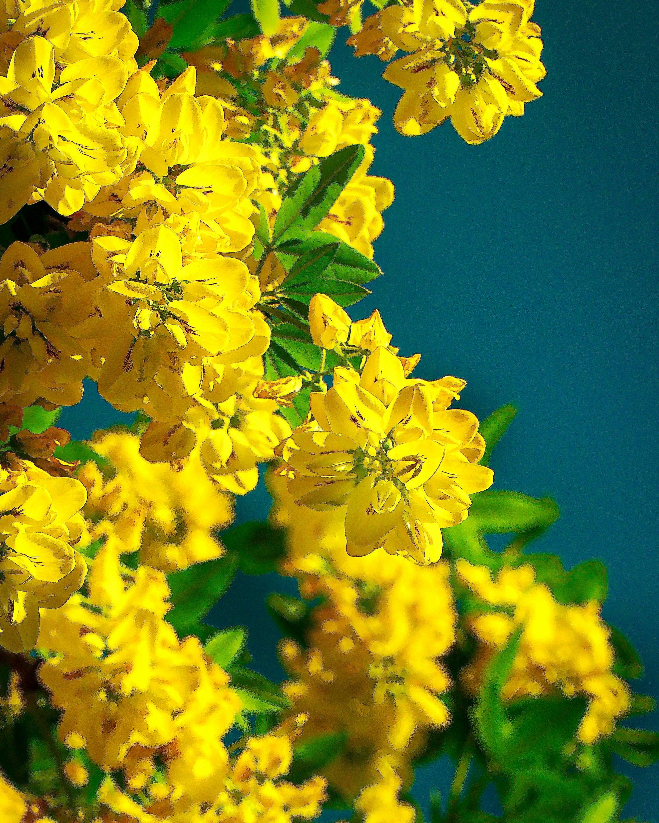 Photo by villamostomi