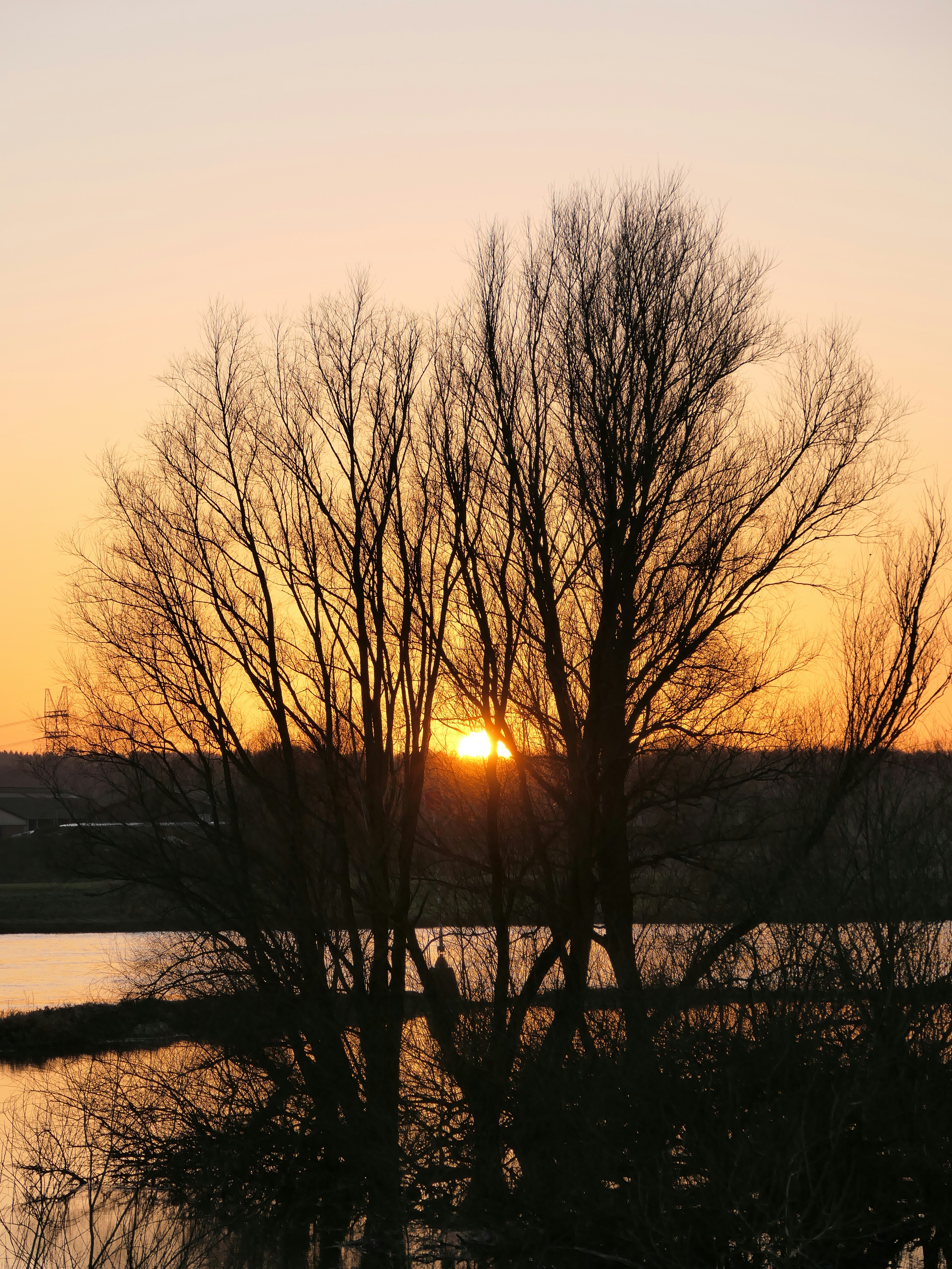 Photo by beauty_van_stam