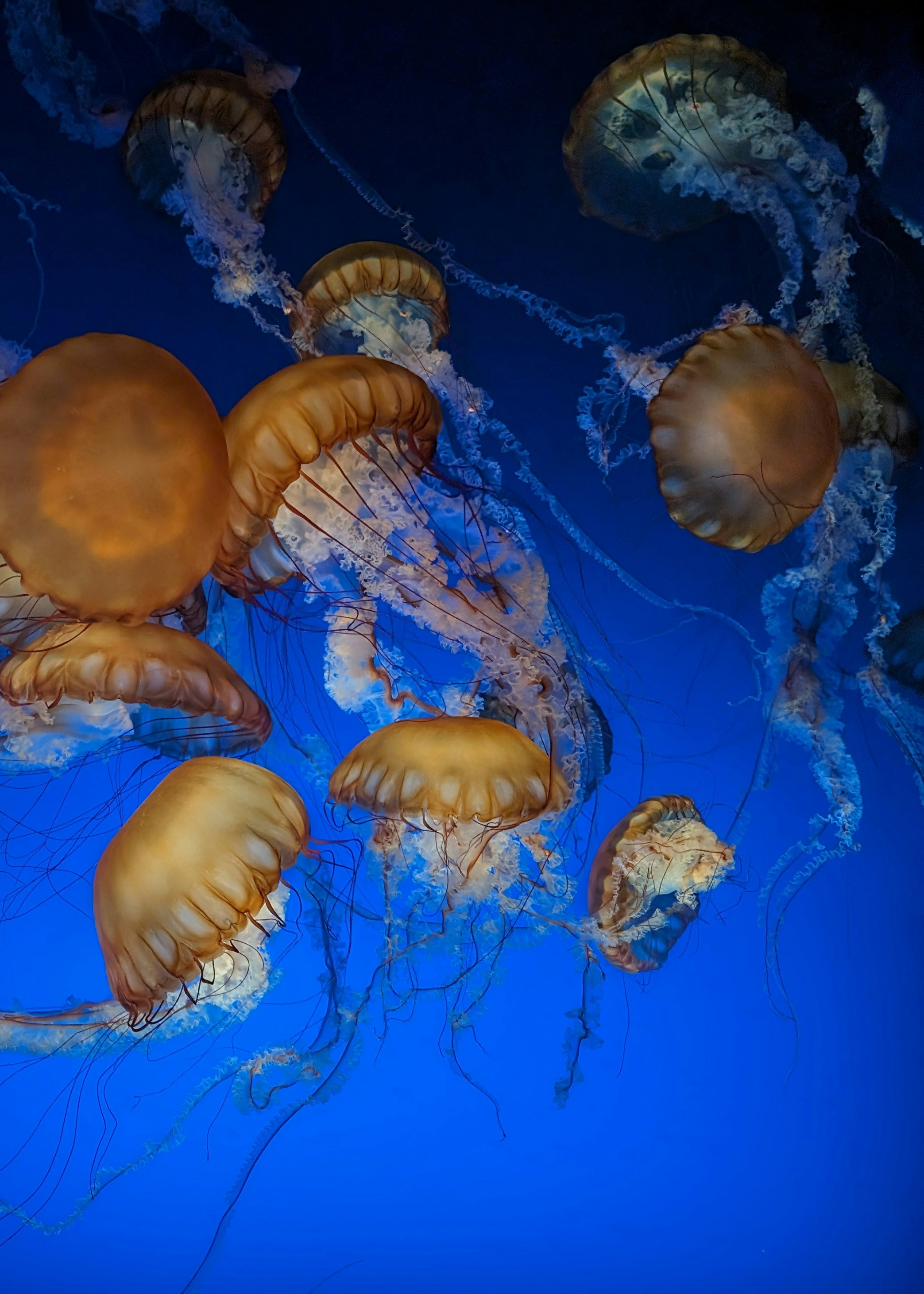 Photo by allsadwords