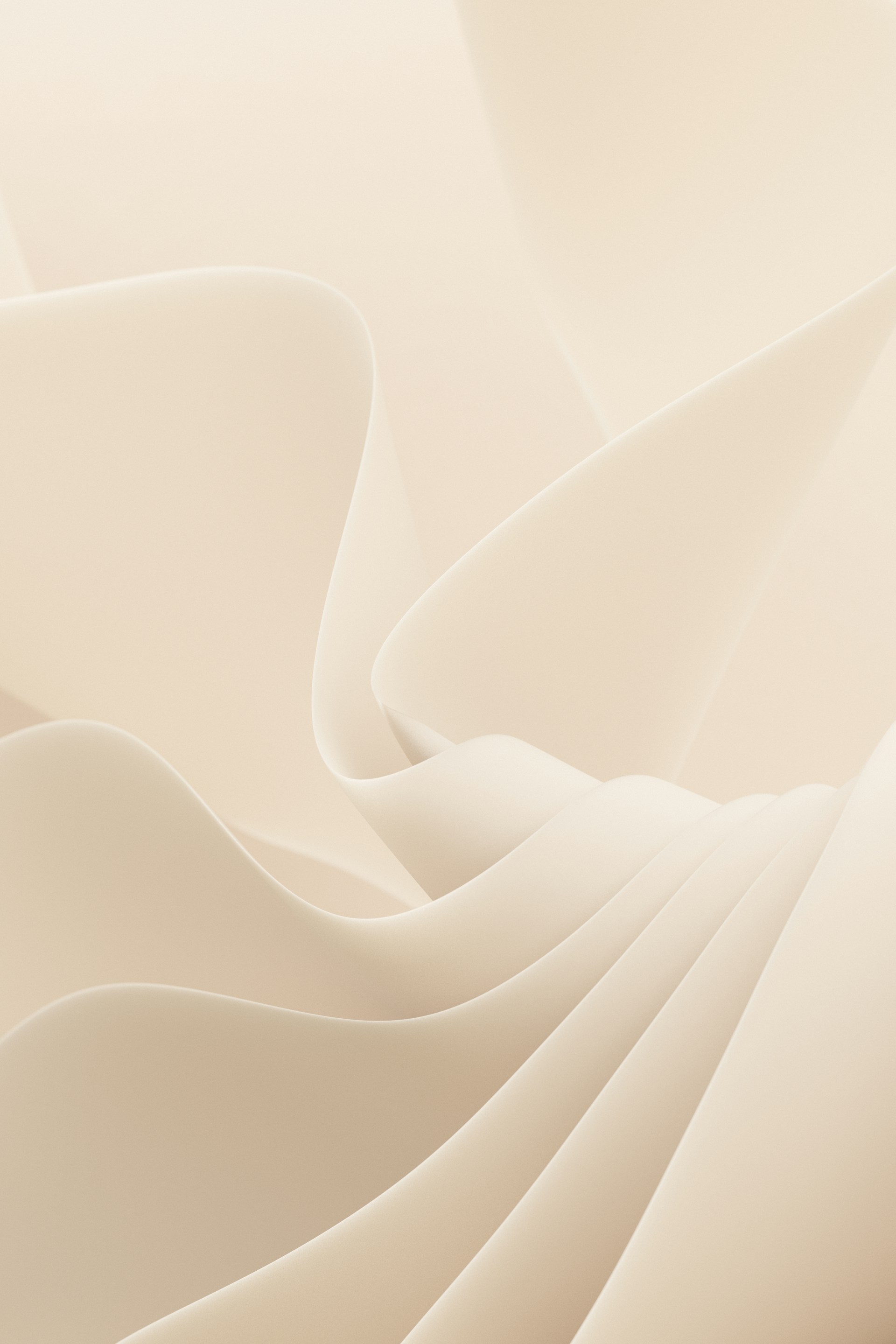 Abstract beige shapes form an elegant composition.