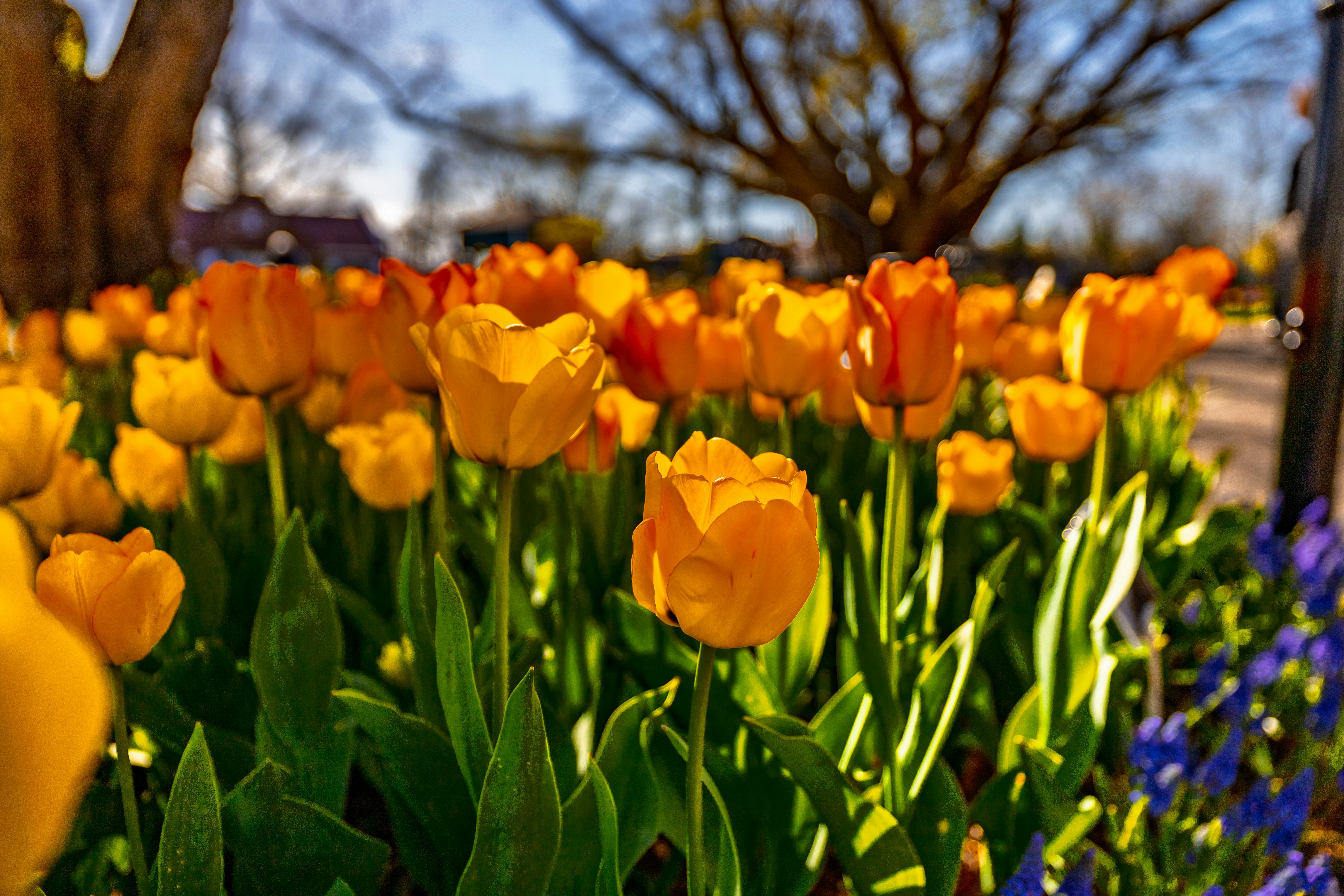 Photo by lancetraveler60