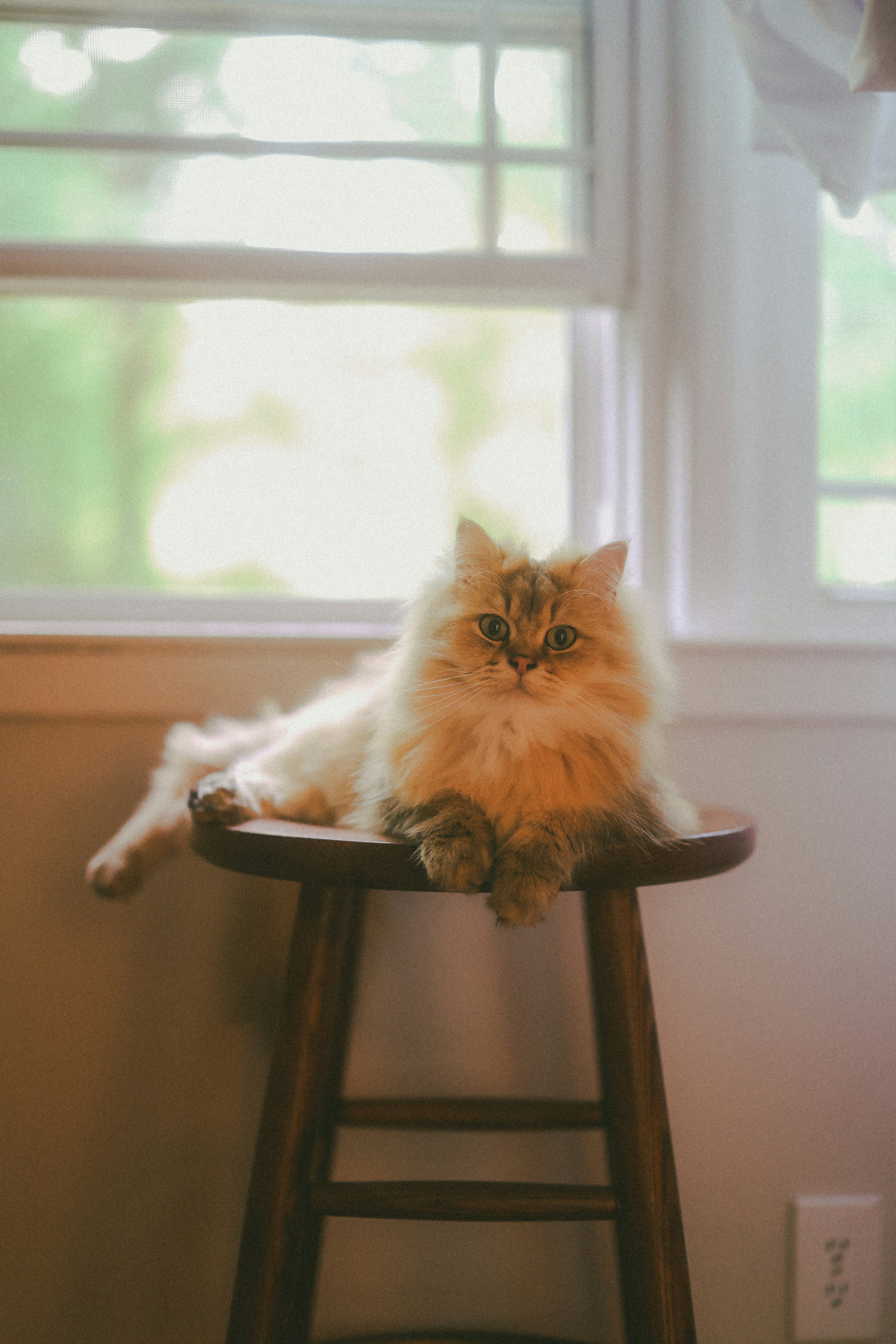 Photo by brookebalentine