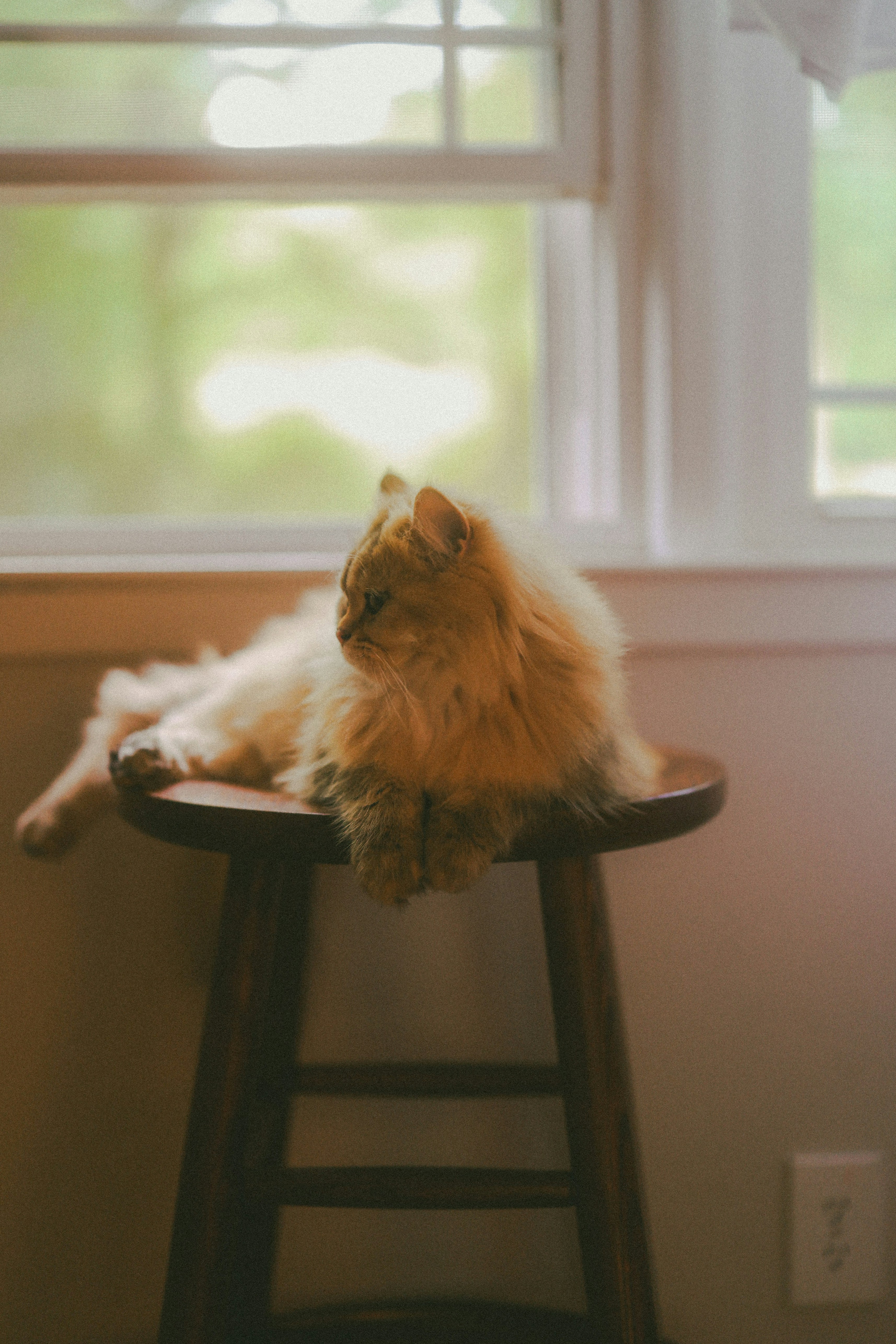 Photo by brookebalentine