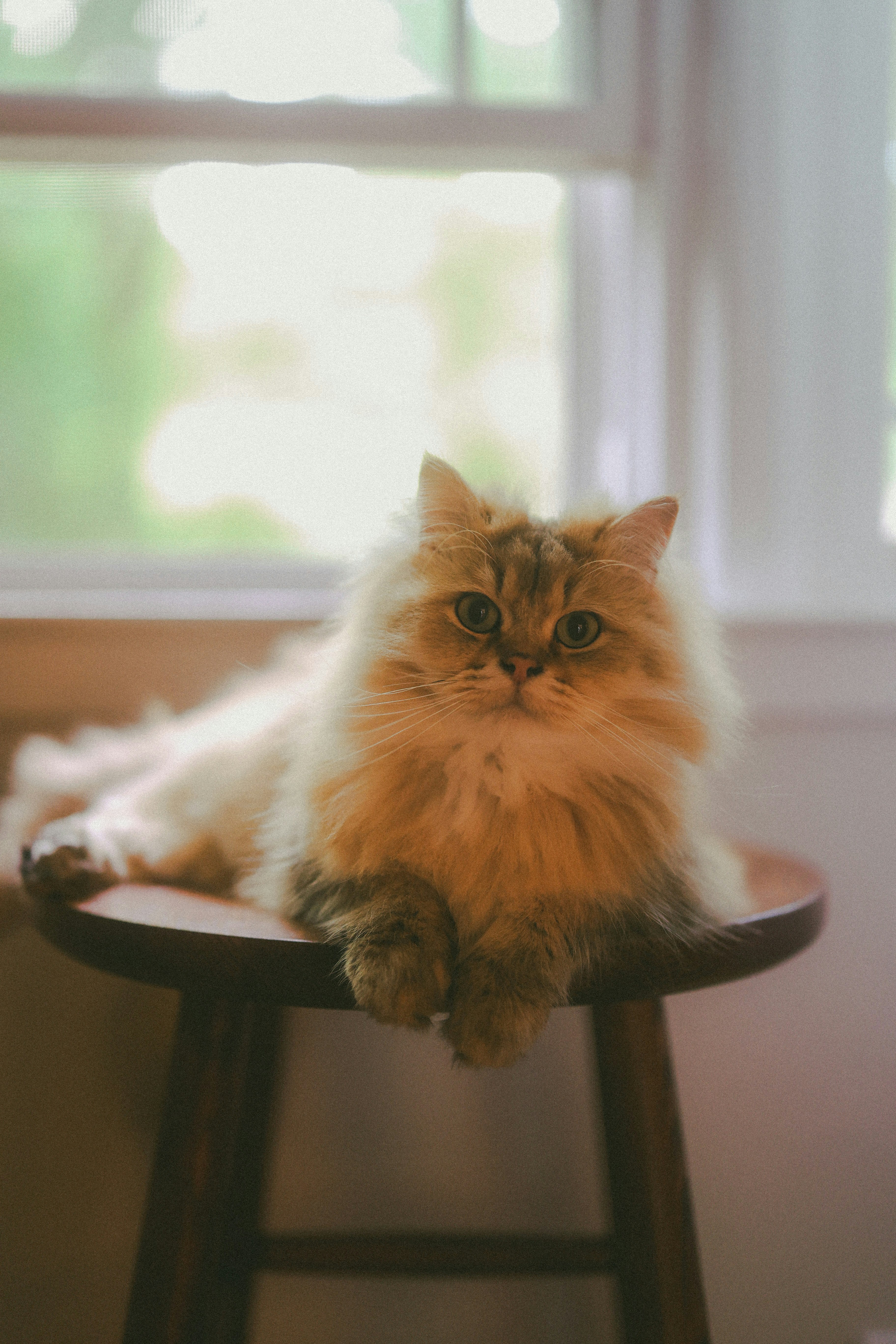 Photo by brookebalentine