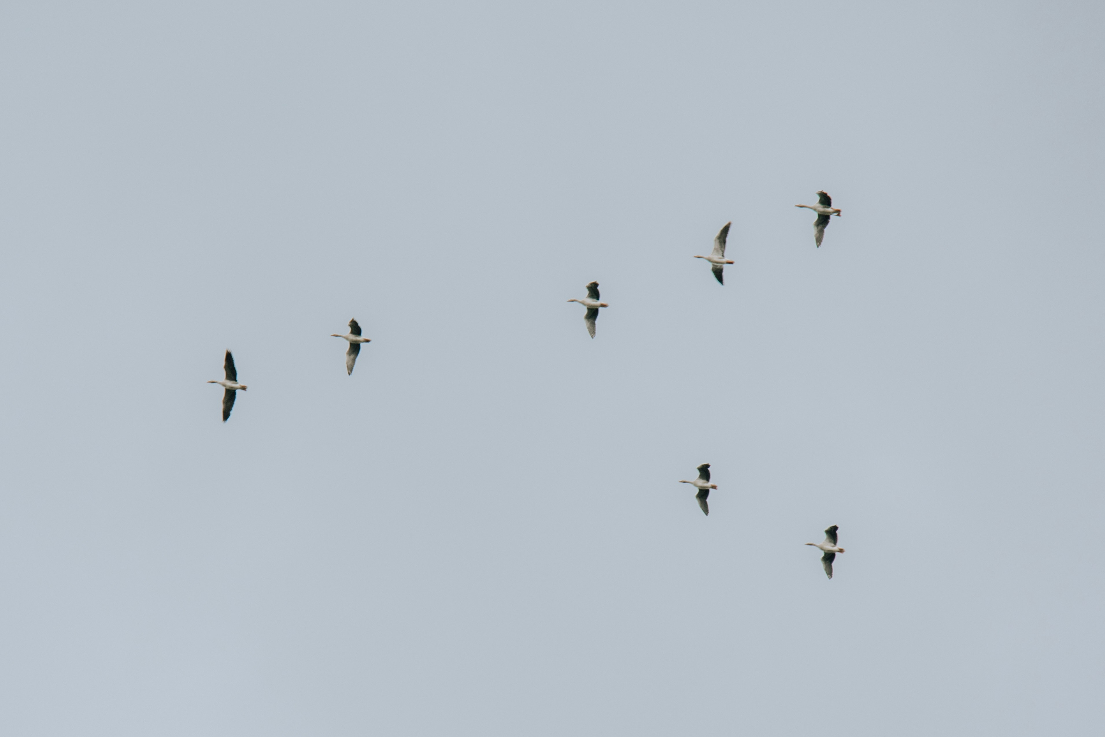 Photo by ingridmartinussen