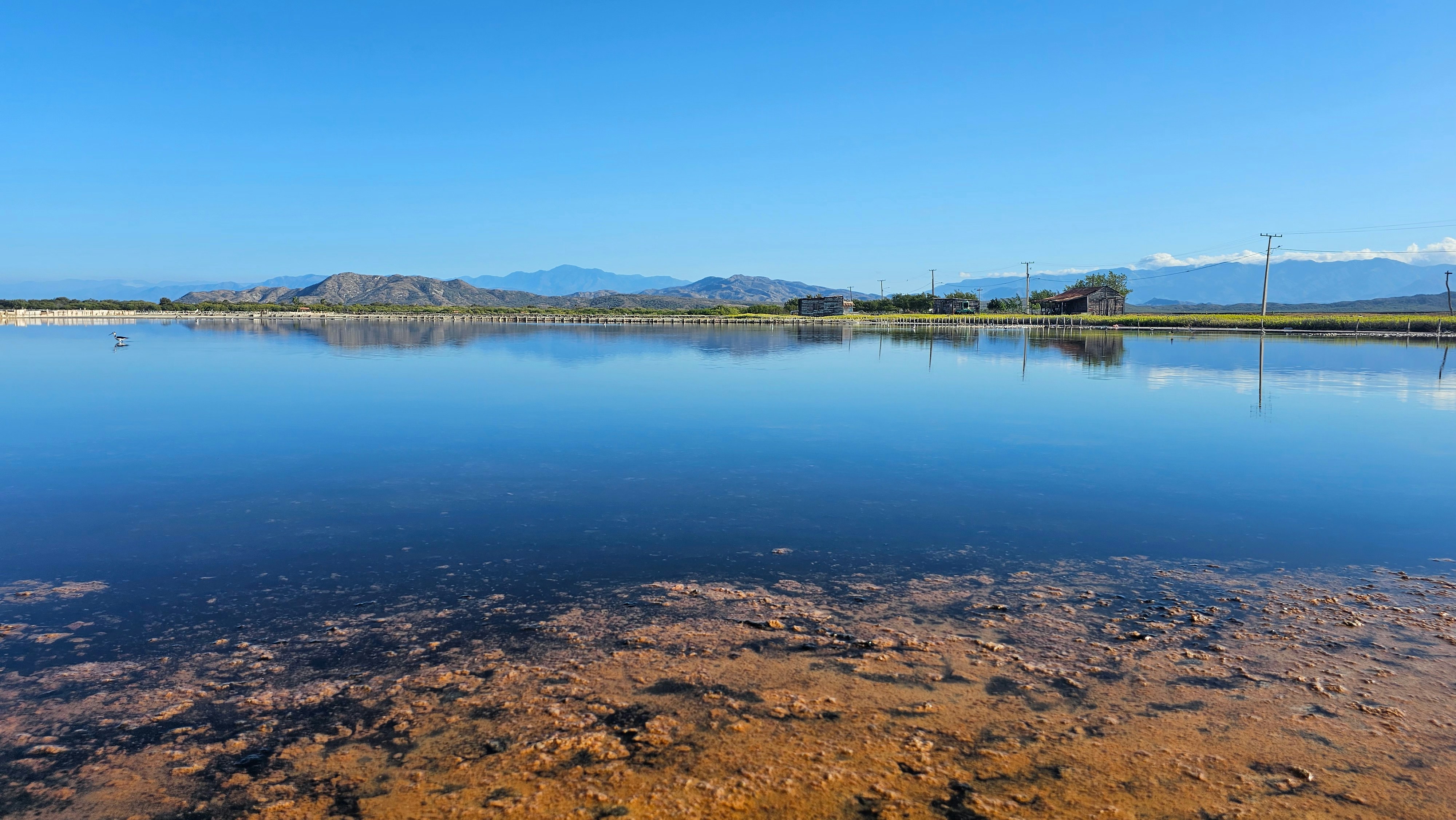 Photo by louiscabral