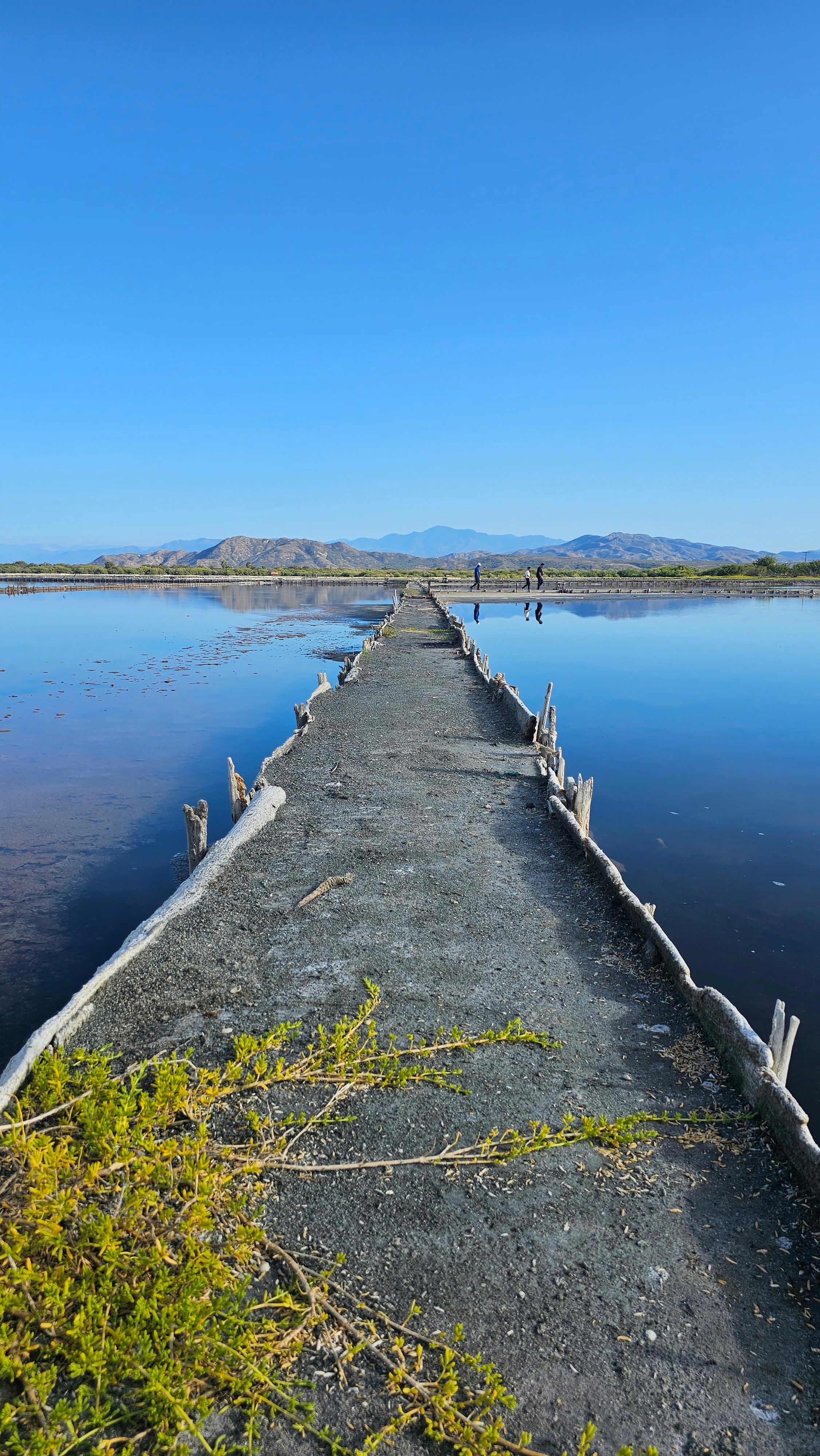 A walkway extends over reflective water.