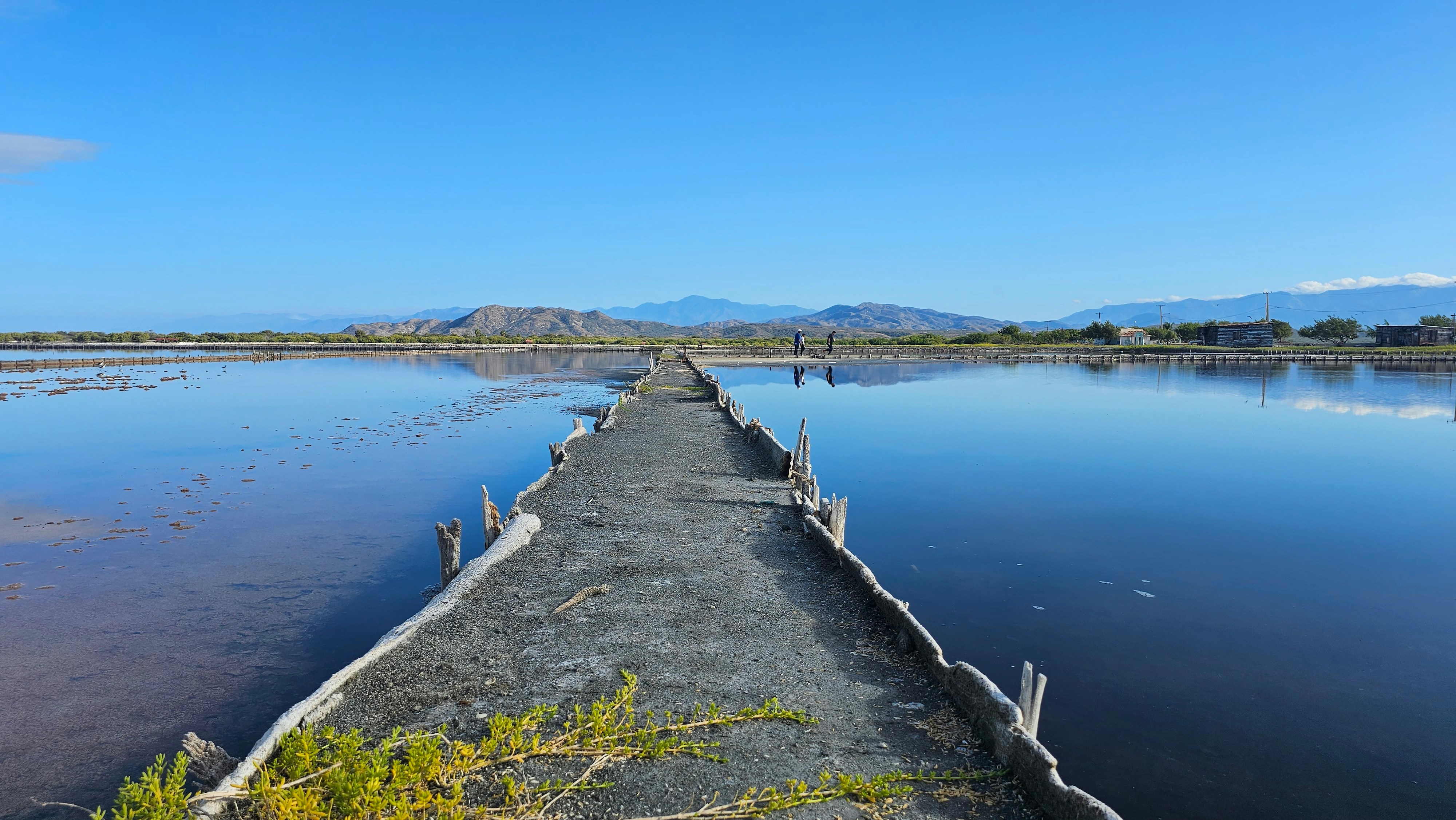 Photo by louiscabral