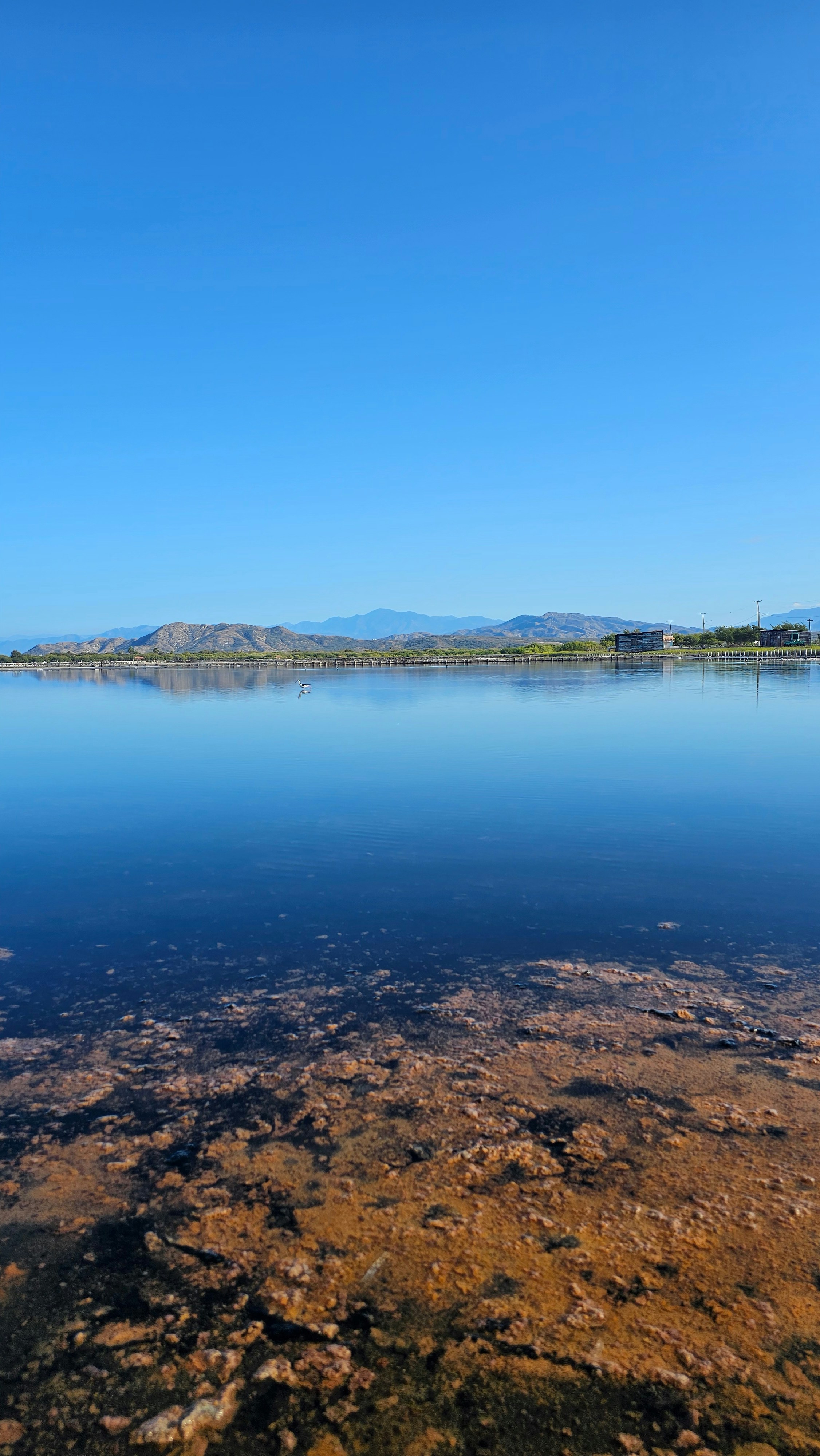 Photo by louiscabral