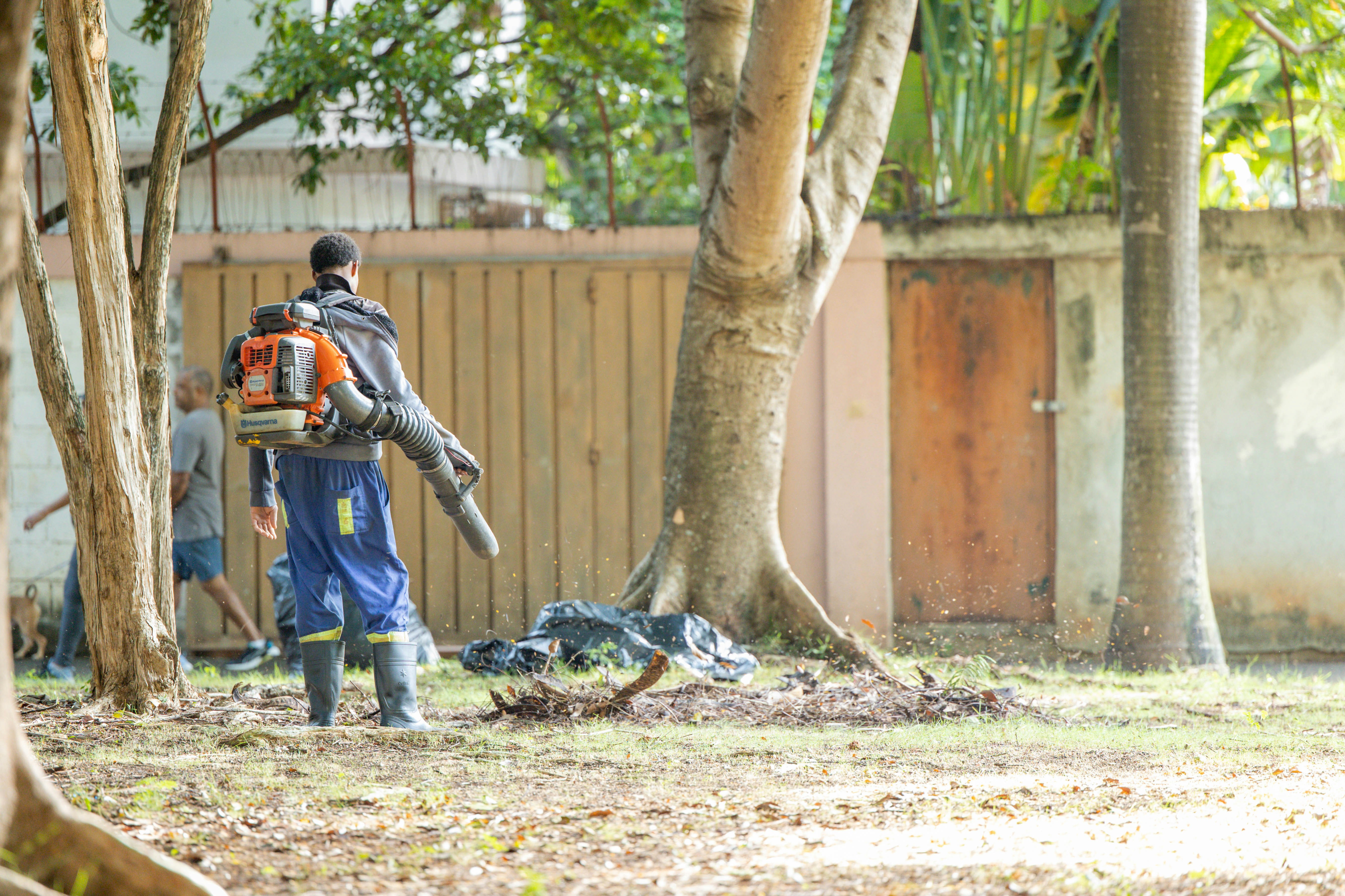 professional yard cleanup worker using a leaf blower - seasonal yard clean up
