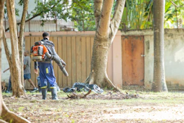 A person uses a leaf blower in a yard.