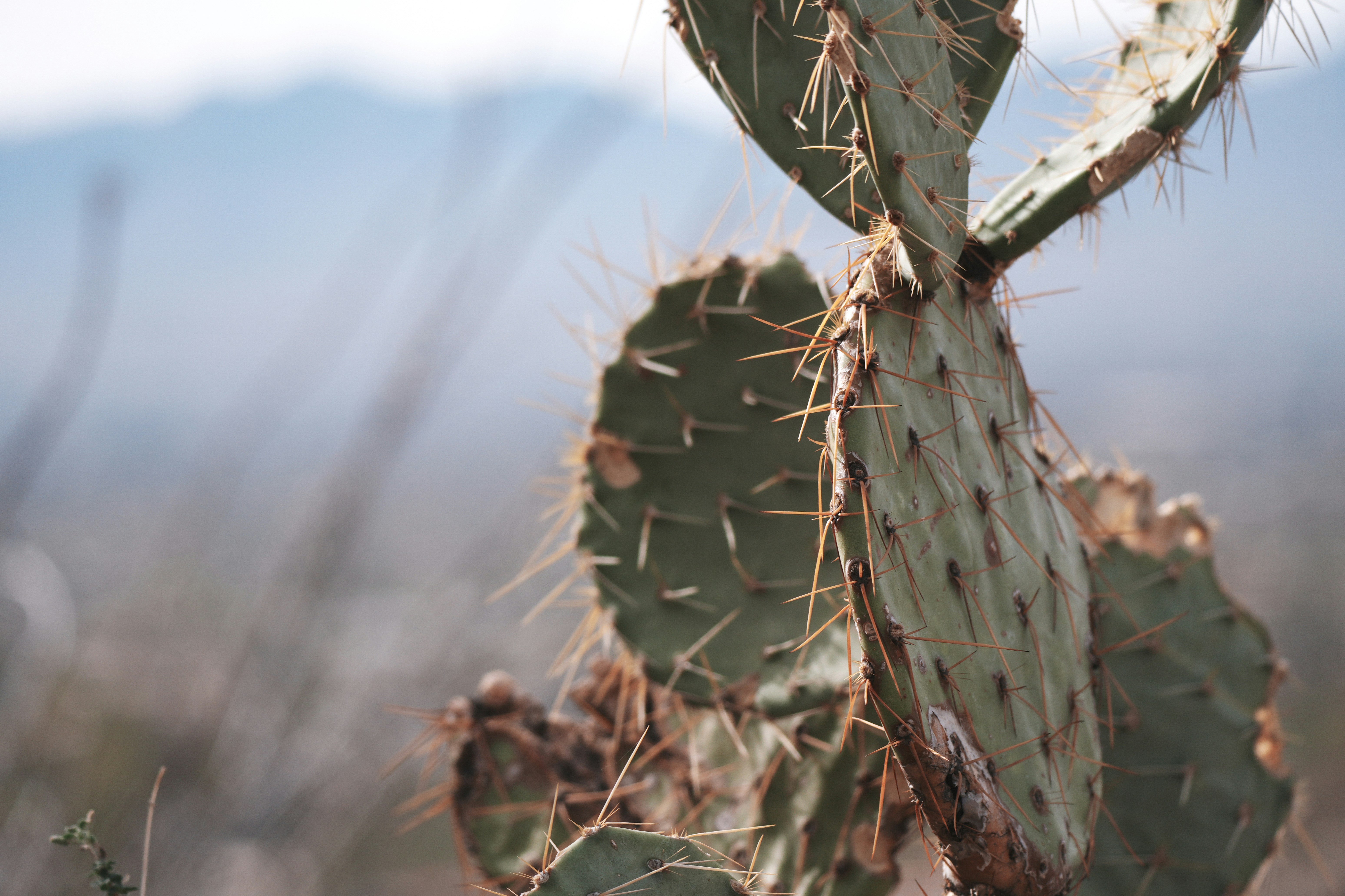 Photo by jcnonstop87