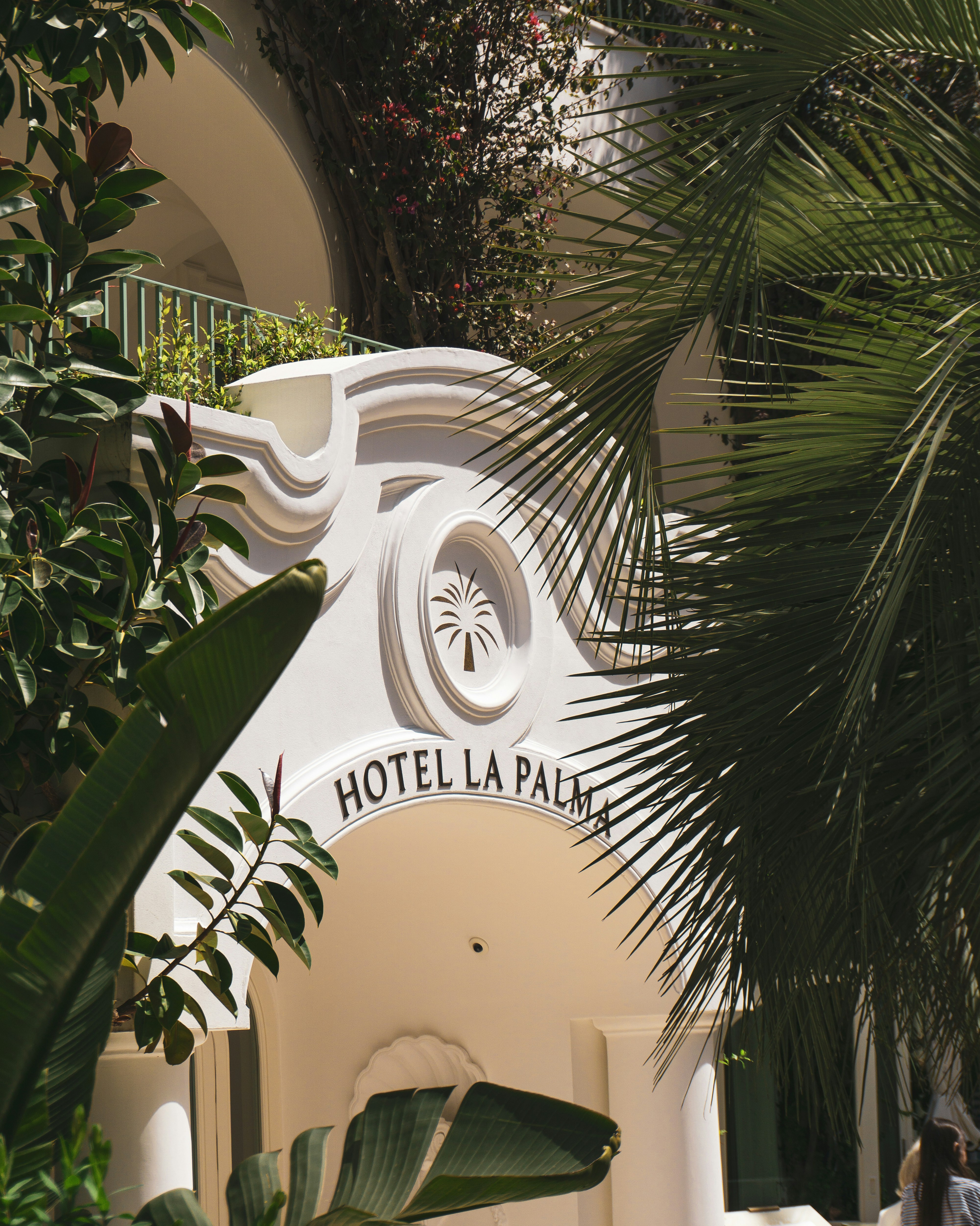 Hotel la palma's entrance is framed by foliage.