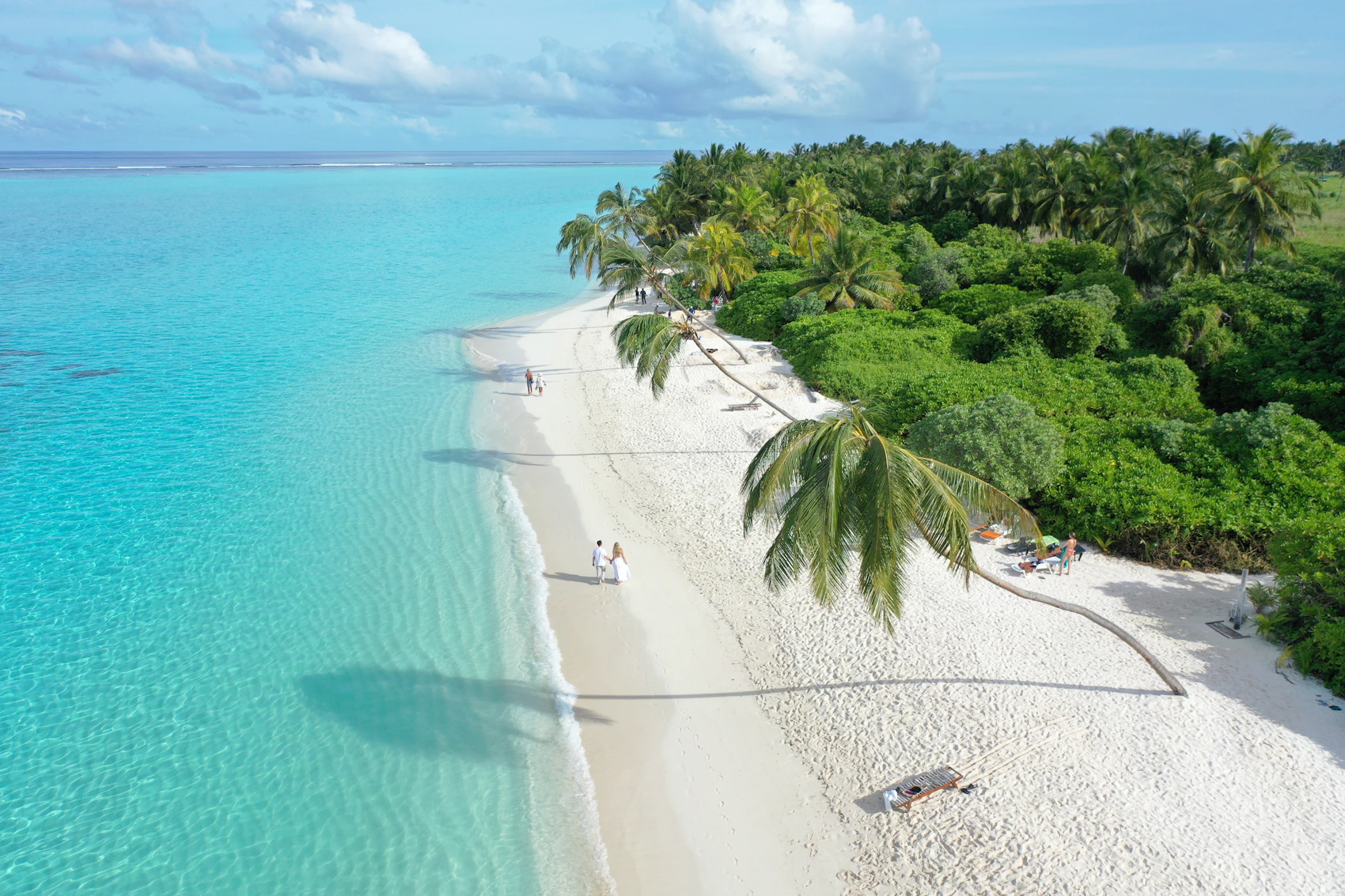 Turquoise beach and palm-lined shore on Thoddoo Island, Maldives