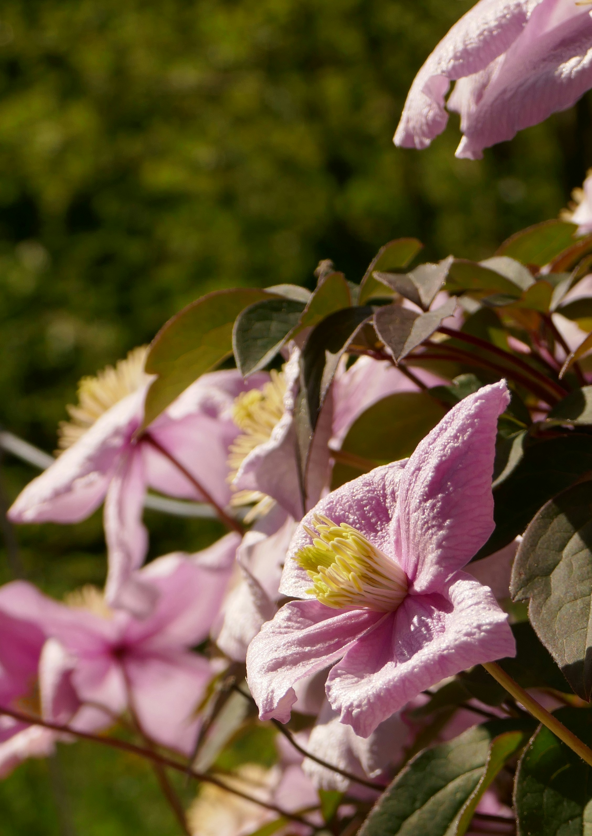 Photo by monikamanenti