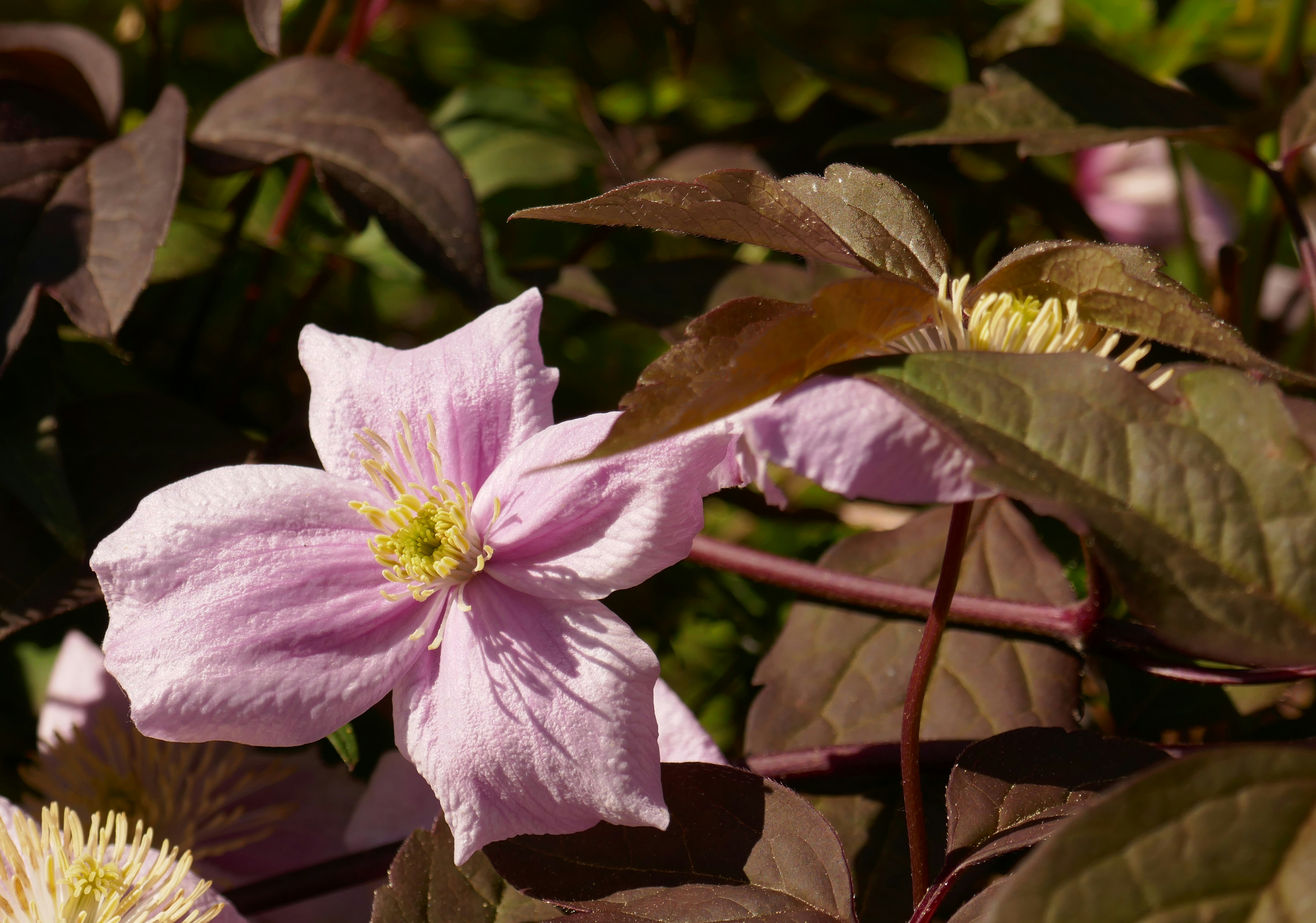 Photo by monikamanenti