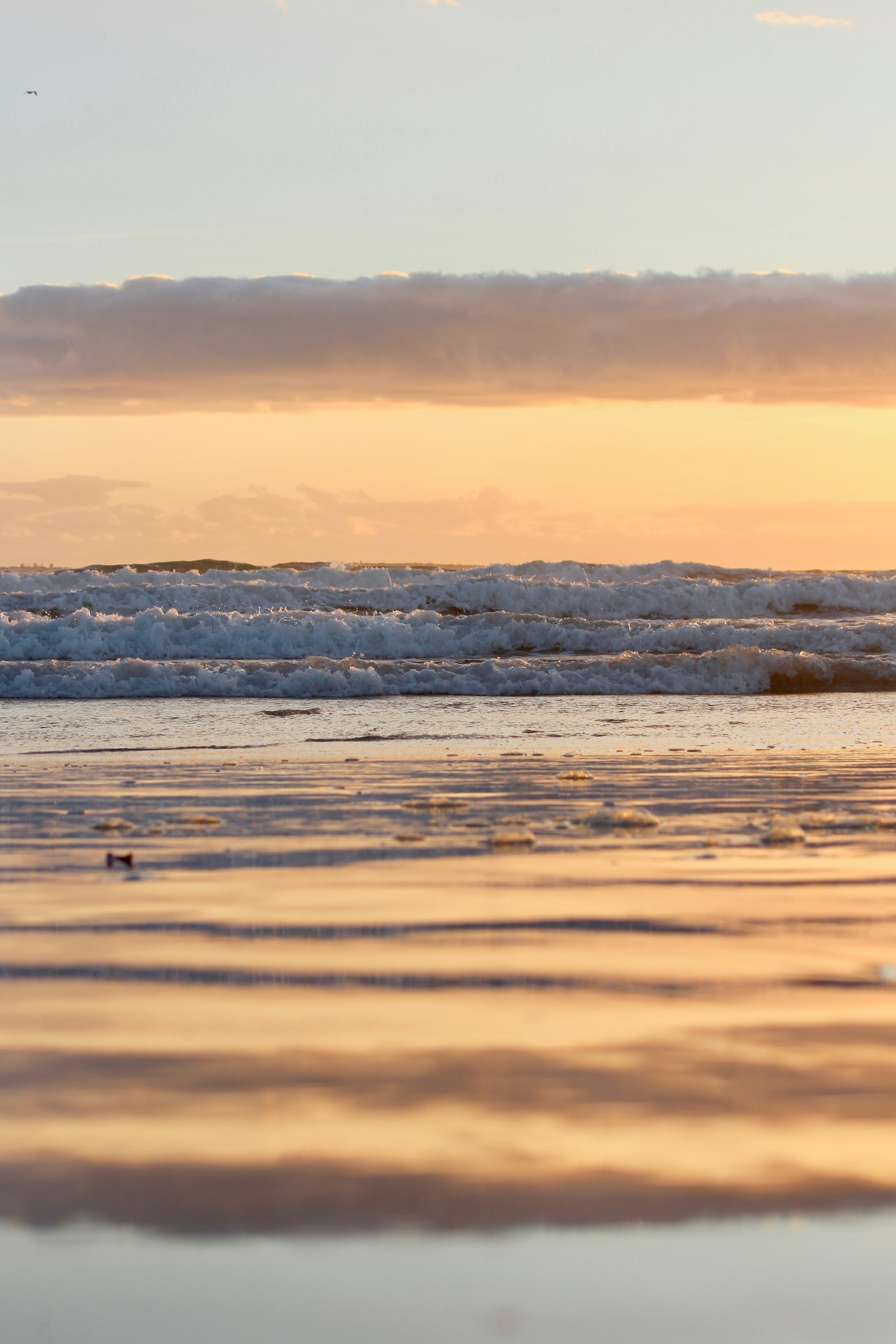 "Red Hoodie Travis Scott Limited Edition – Exclusive Graphic Pullover for Fans of Iconic Rap Style