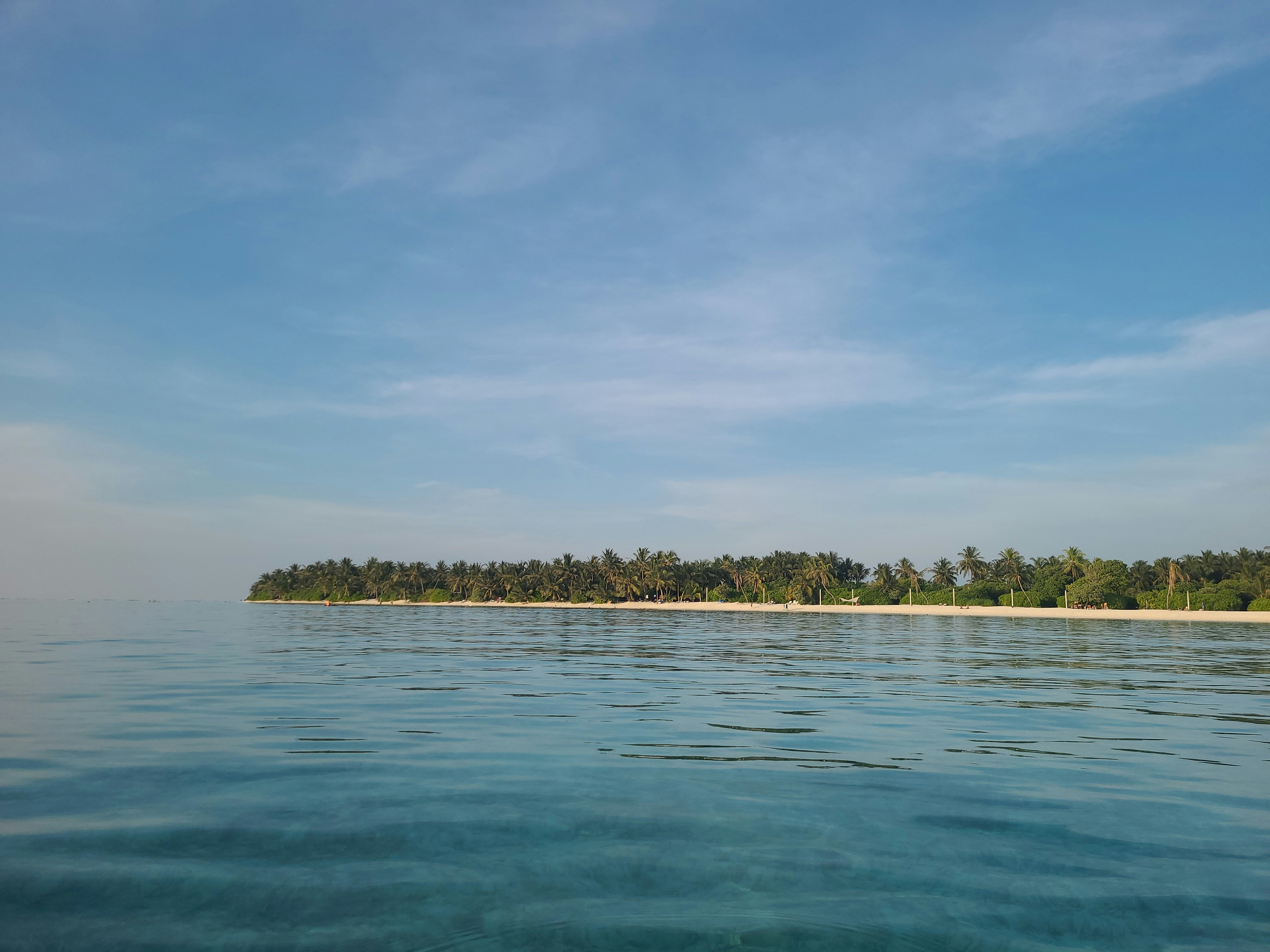 Photo by jumanjiphotos