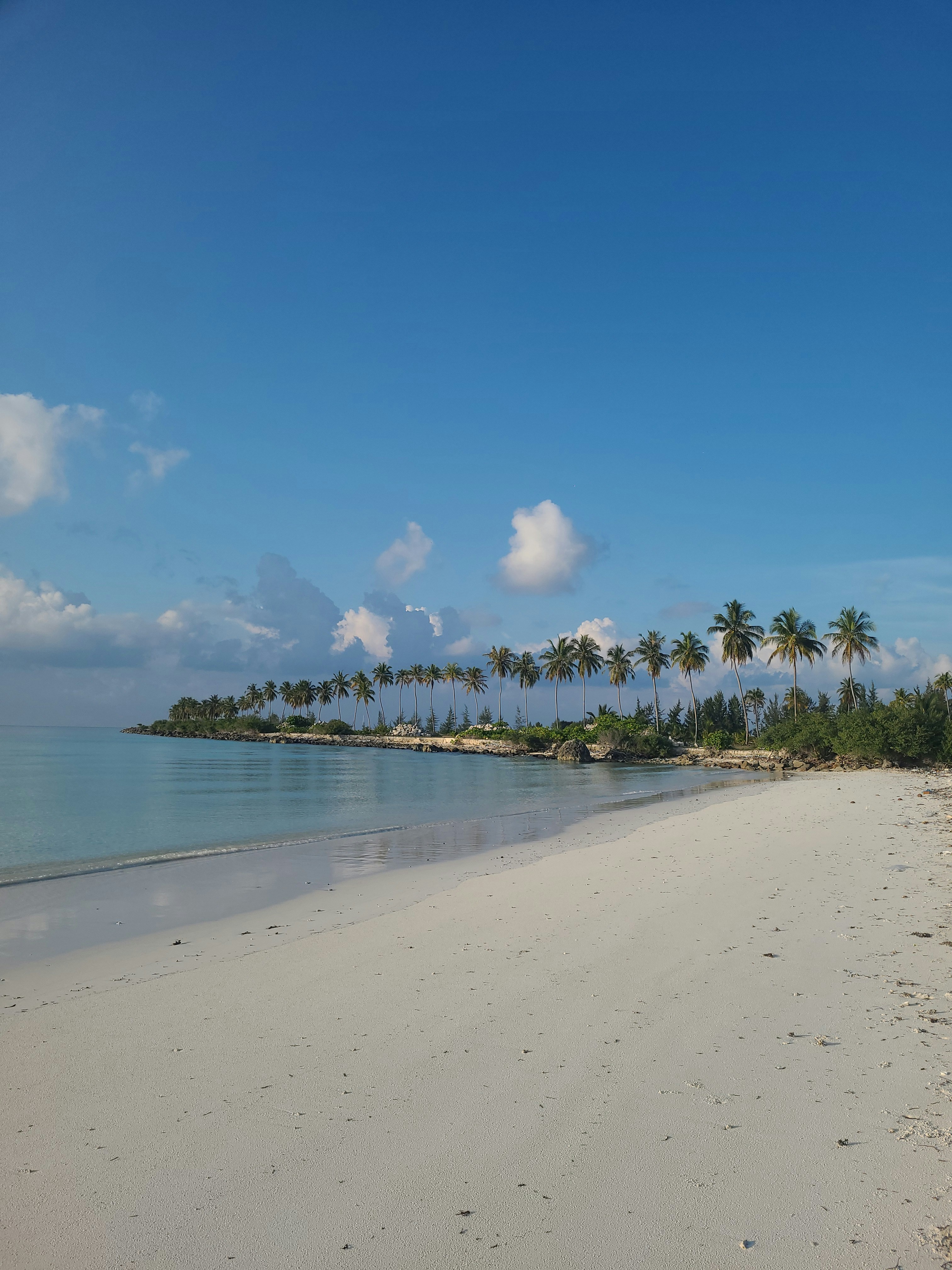 Photo by jumanjiphotos