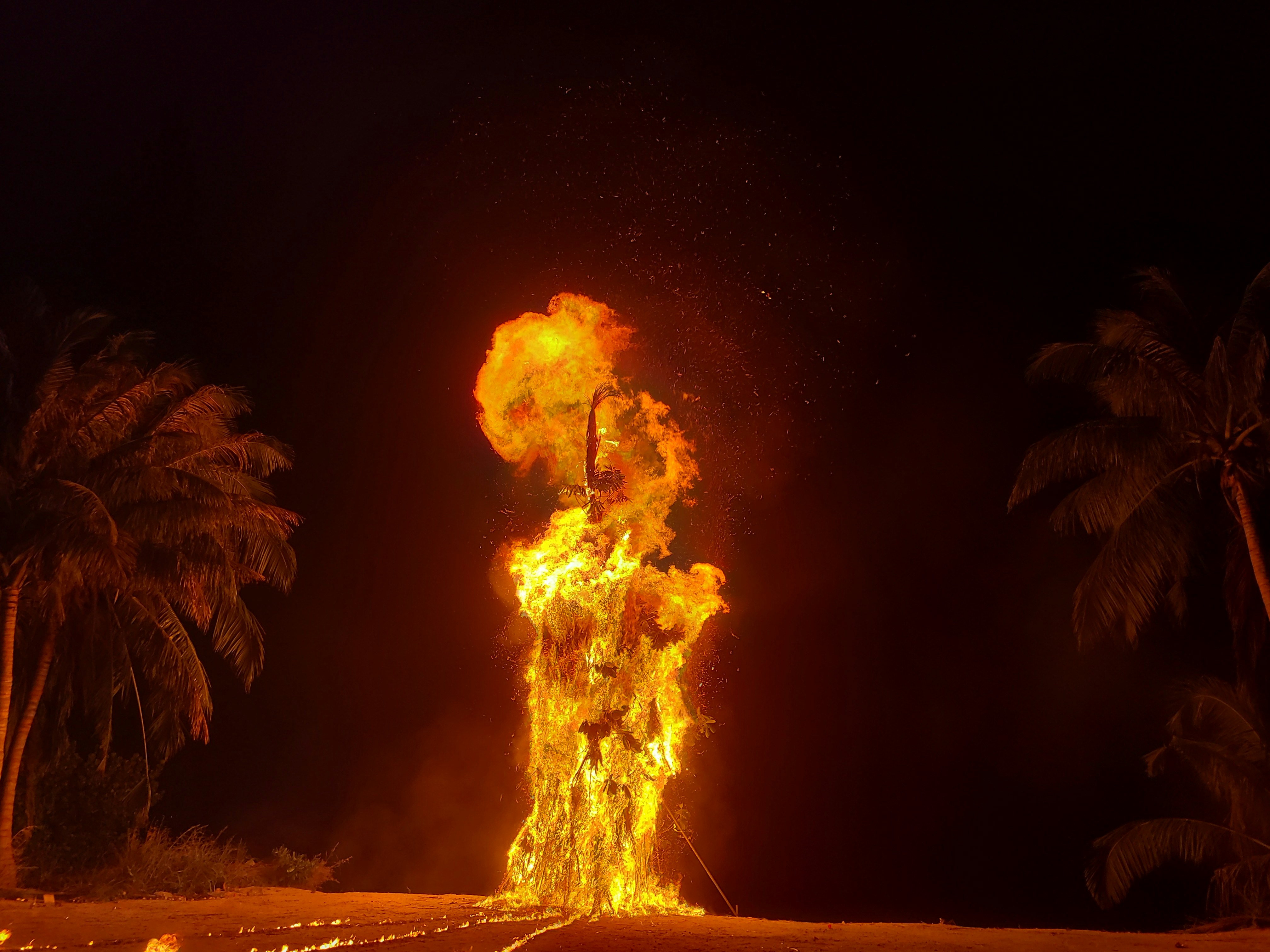 Large fire erupts at night between palm trees
