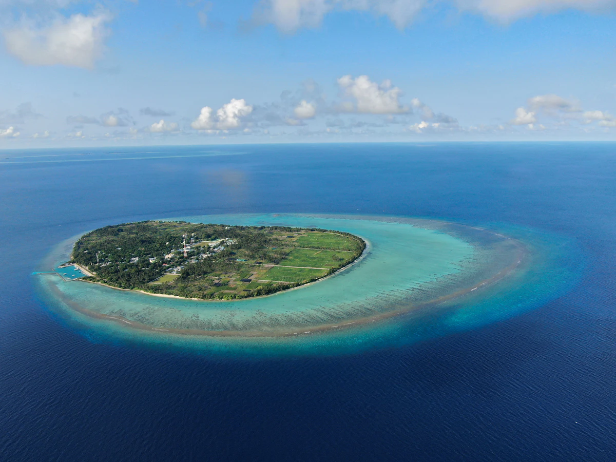 Liten øy med palmer omgitt av korallrev og turkist lagune på Maldivene