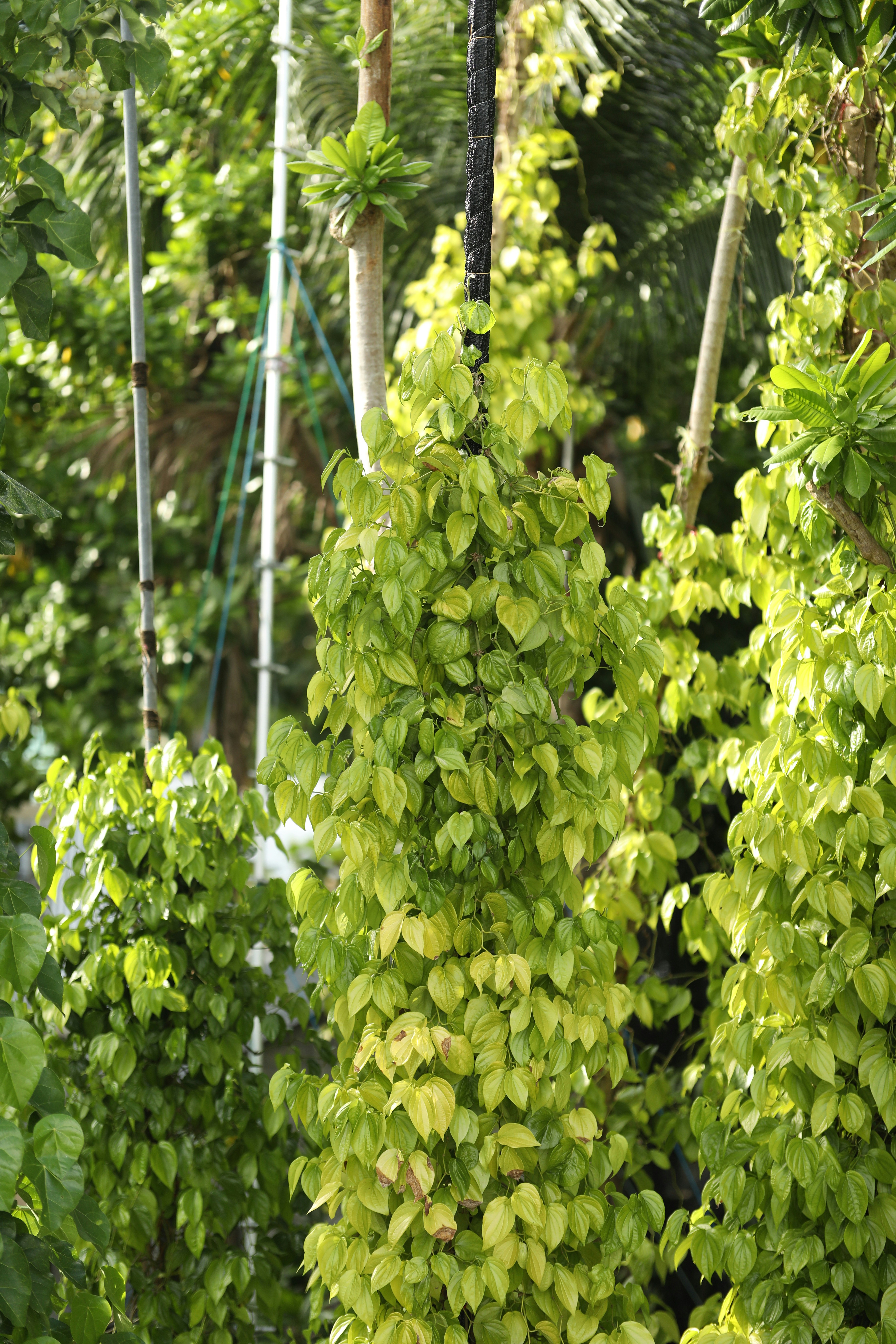 Photo by jumanjiphotos