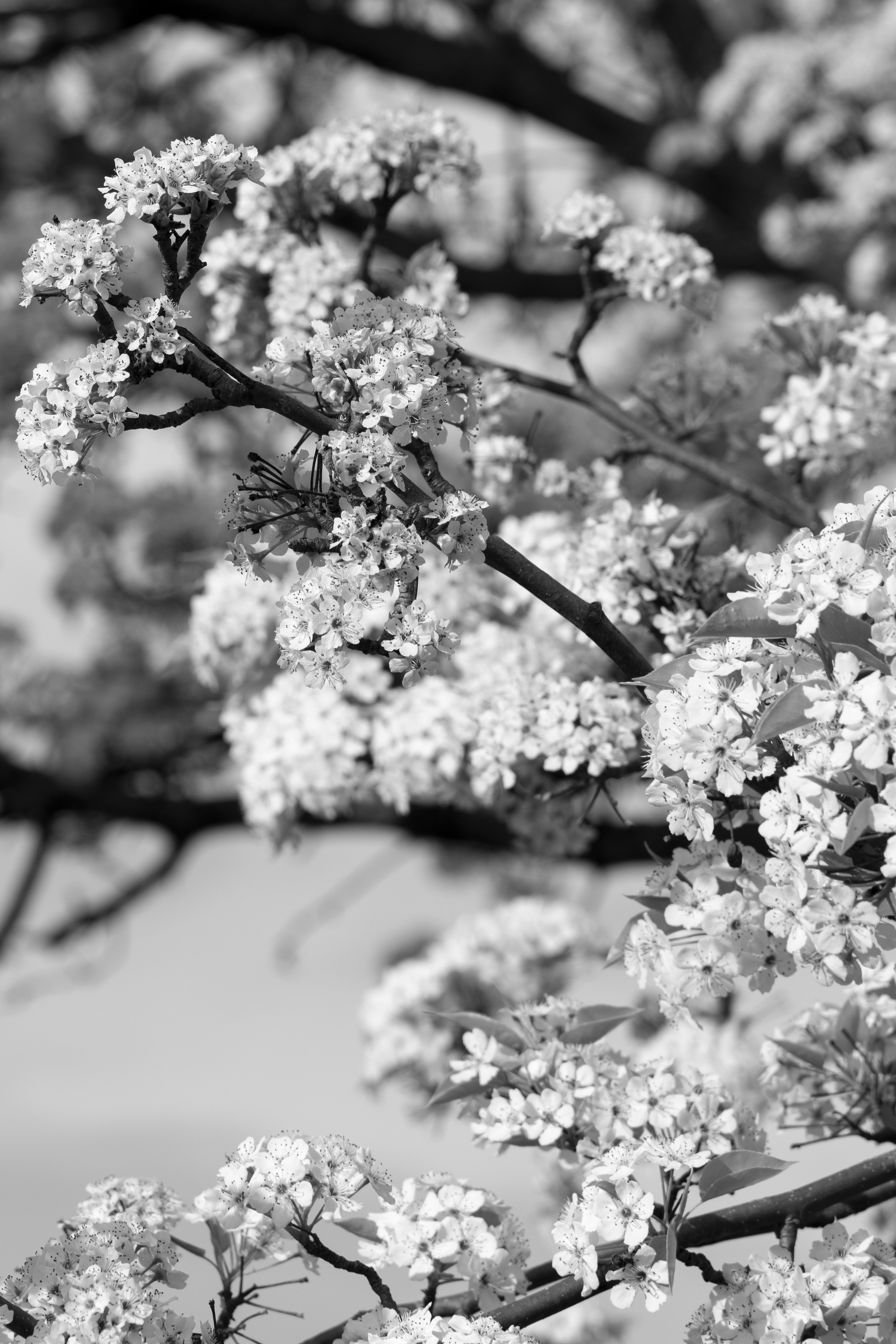 Photo by ivan_aviles