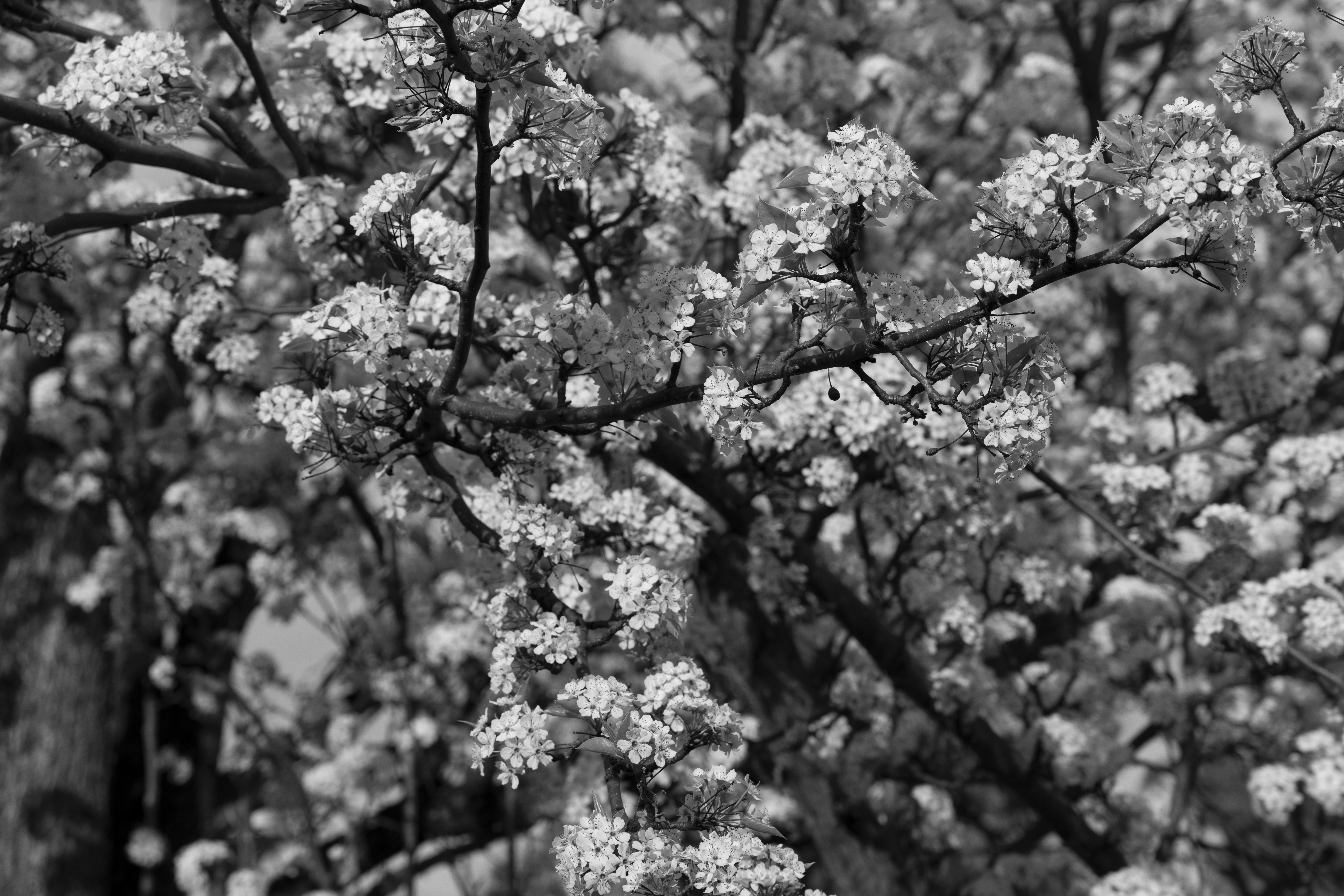 Photo by ivan_aviles