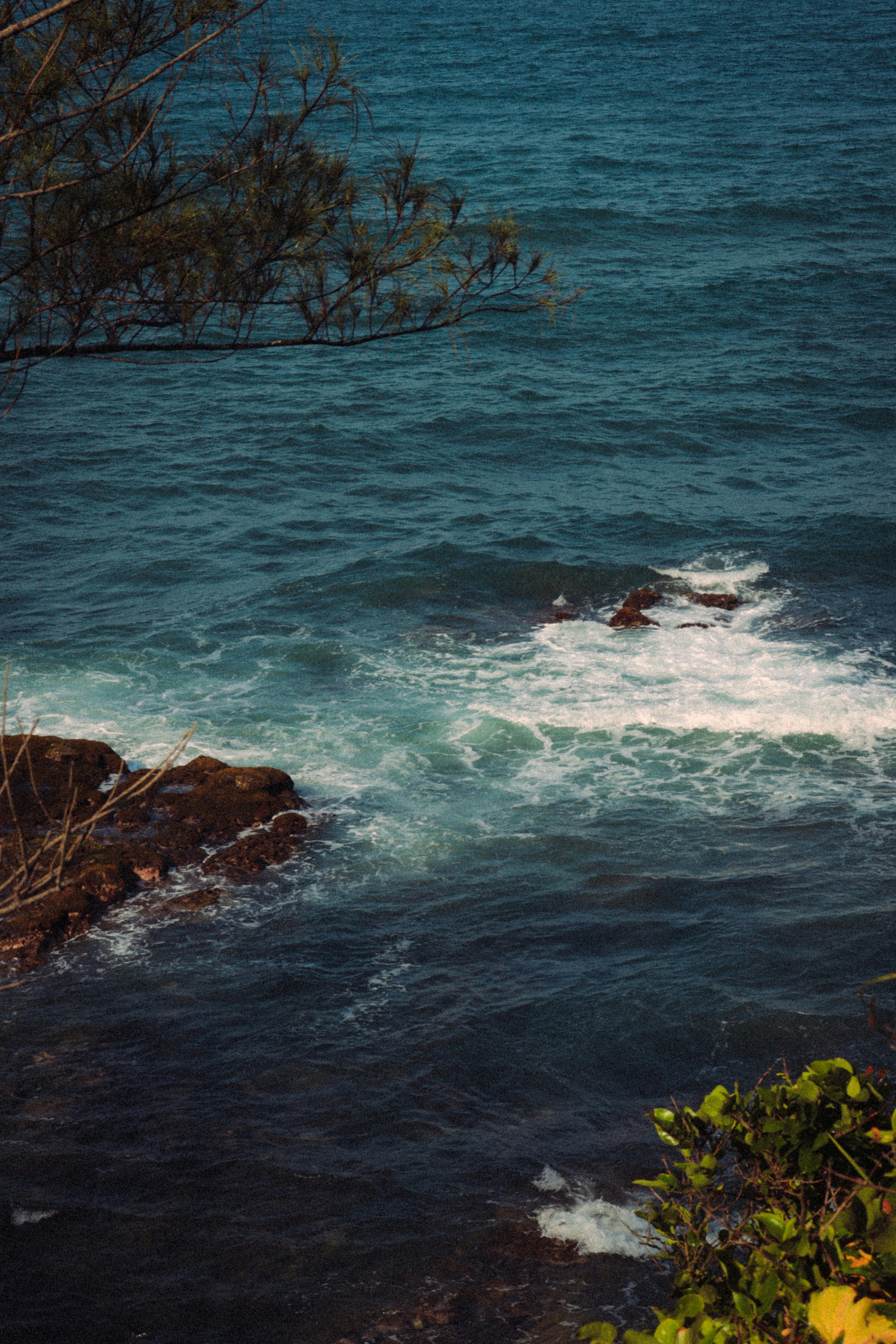 Photo by angel_arroyo