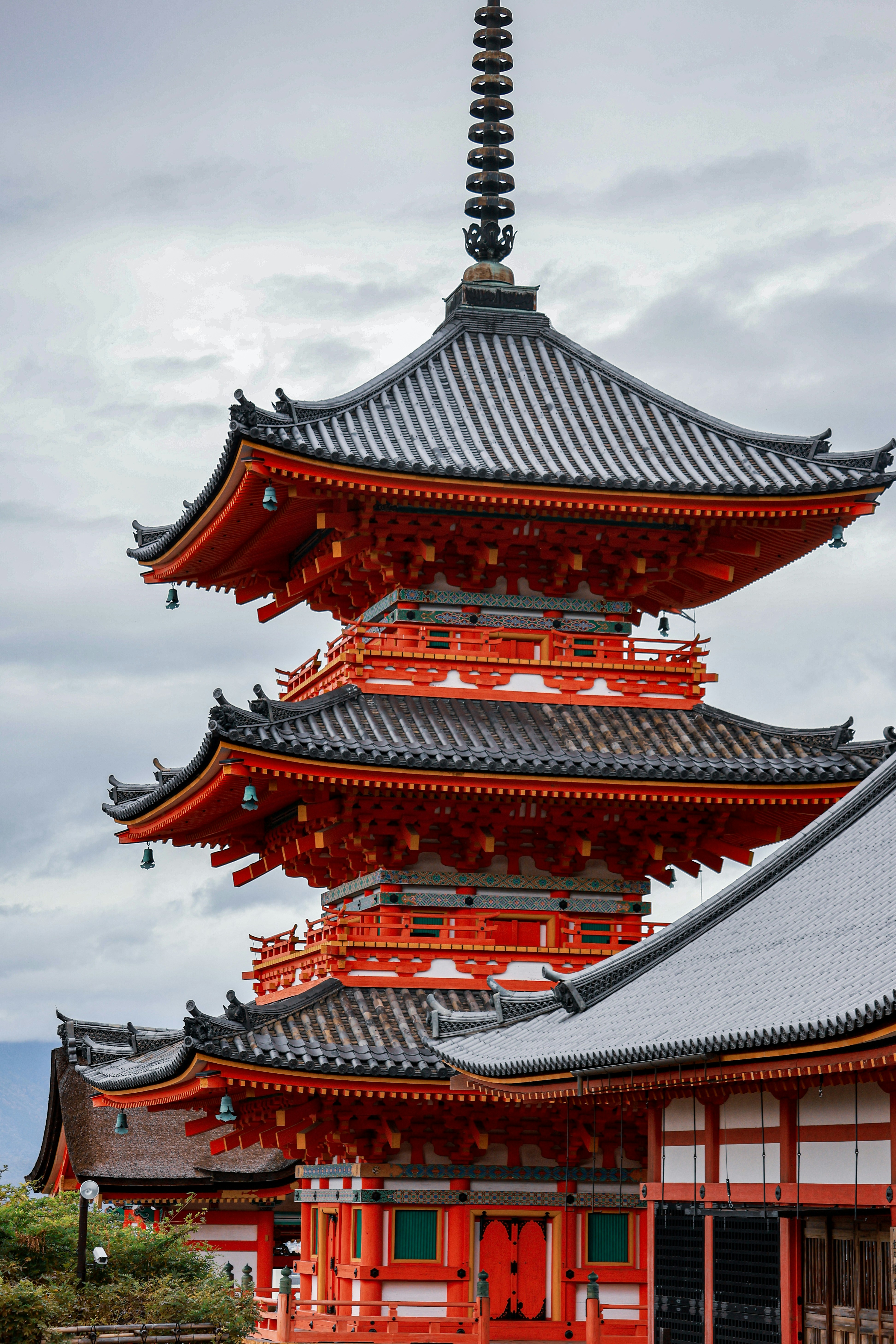 Photo by danielpelaezduque