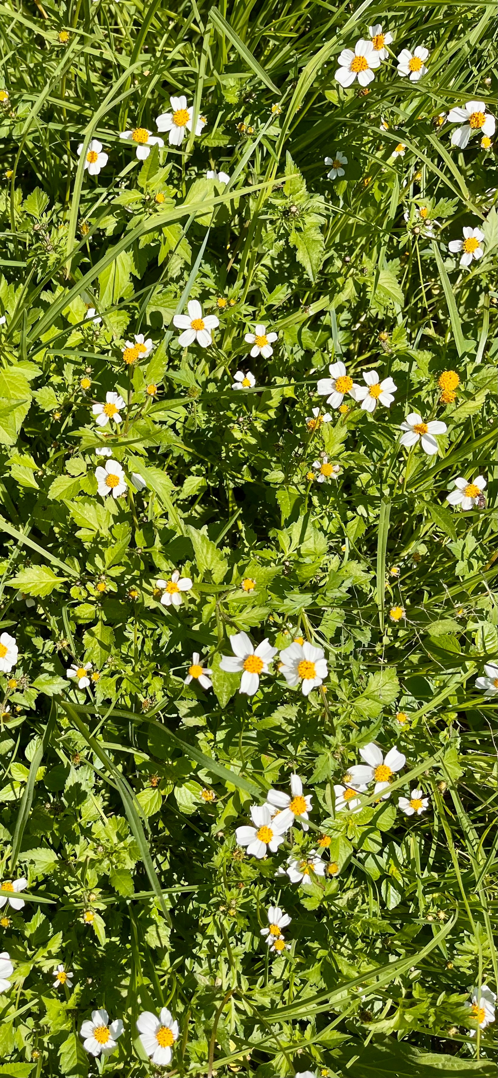Angel Arroyo (@angel_arroyo) | Unsplash 사진 커뮤니티